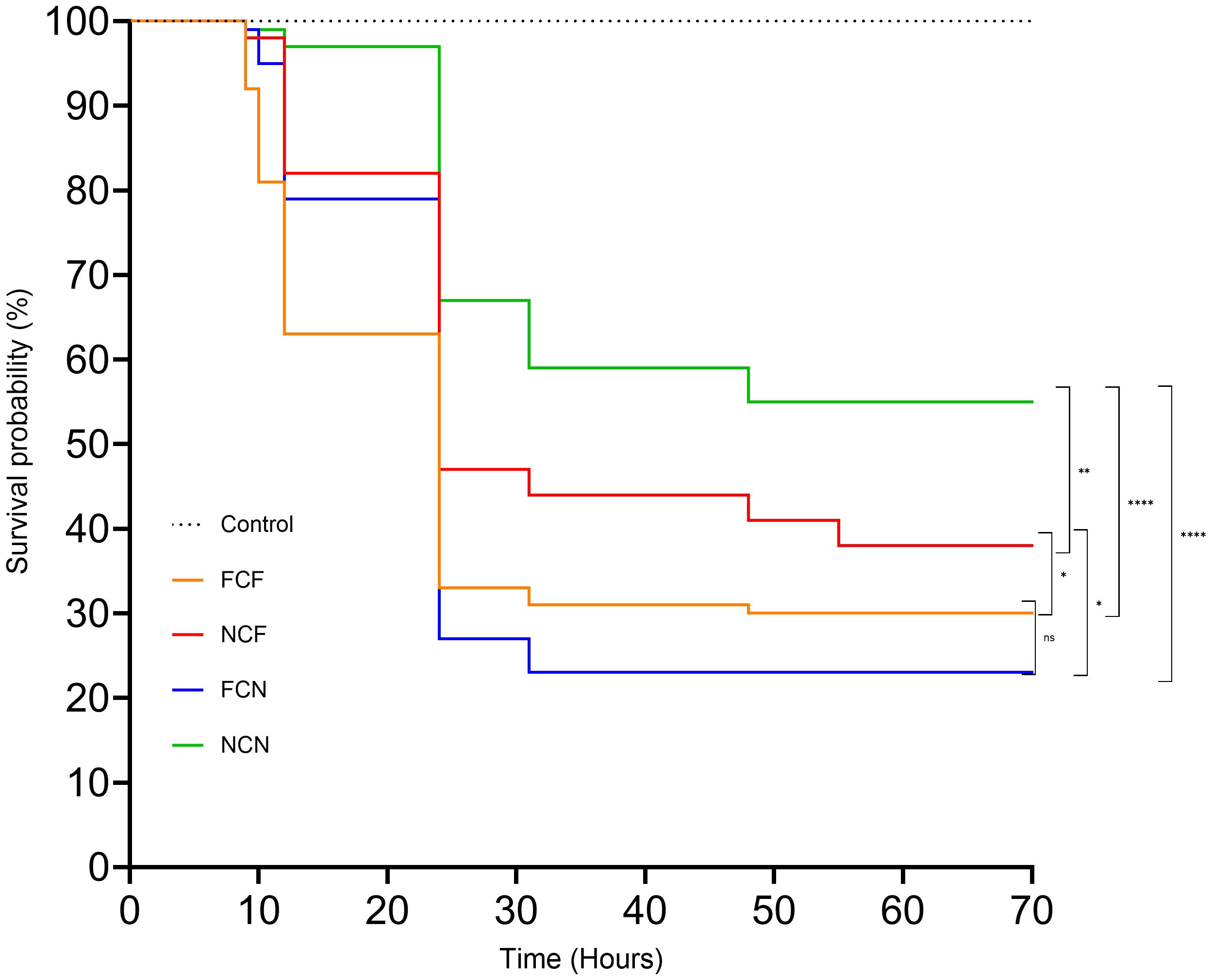 Kaplan-Meier survival curve of vAh challenged channel catfish over 70 hours showing that the control group maintained 100% survival. The highest treatment group, NCN (green), had the highest survival, followed by NCF (red), FCF (orange) and FCN (blue). Statistical significance is denoted with asterisks, ranging from significant (****) to non-significant (ns) differences between treatment groups.