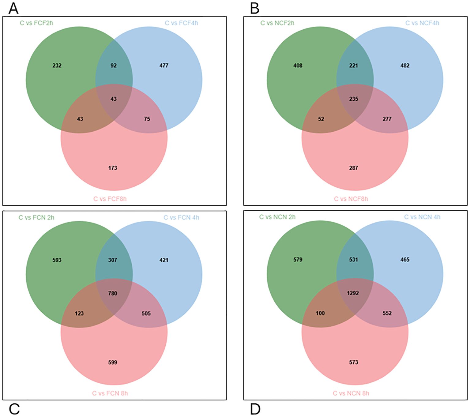 Four Venn diagrams labeled A, B, C, and D display comparisons of data sets: A shows overlap among C vs FCF at two, four, and eight hours; B shows overlap among C vs NCF at two, four, and eight hours; C shows overlap among C vs FCN at two, four, and eight hours; D shows overlap among C vs NCN at two, four, and eight hours. Each diagram has three intersecting colored circles with numbers indicating shared or unique elements.
