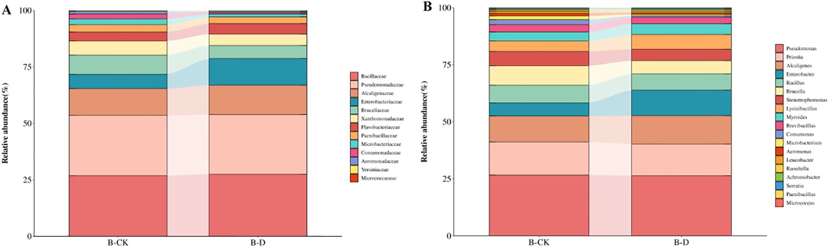 Two stacked bar charts labeled A and B display the relative abundance of various microbial families and genera across two conditions, B-CK and B-D. Each color represents a different microbial group, annotated in the legends on the right. The charts show changes in microbial composition between the two conditions, with percentages on the y-axis.