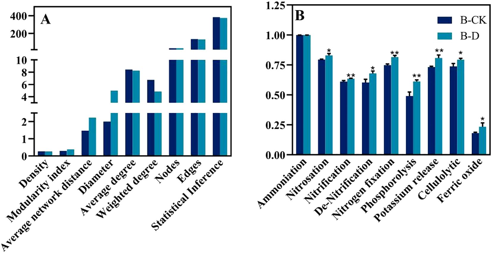 Bar charts labeled A and B compare various metrics between two groups: B-CK and B-D. Chart A measures network statistics like density, modularity index, and statistical inference. Chart B shows biochemical processes such as ammoniation, nitrification, and nitrogen fixation. B-D generally exhibits higher values across most metrics and processes, with some differences marked by asterisks.