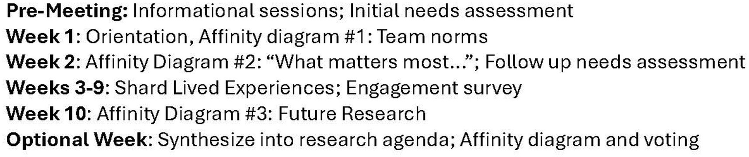 Timeline of a project includes:1. Pre-Meeting: Informational sessions and initial needs assessment.2. Week 1: Orientation and Affinity Diagram number 1 with team norms.3. Week 2: Affinity Diagram number 2 titled "What matters most…"; Follow-up needs assessment.4. Weeks 3 to 9: Shared lived experiences and engagement survey.5. Week 10: Affinity Diagram number 3 for future research.6. Optional Week: Synthesize research agenda; Affinity diagram and voting.