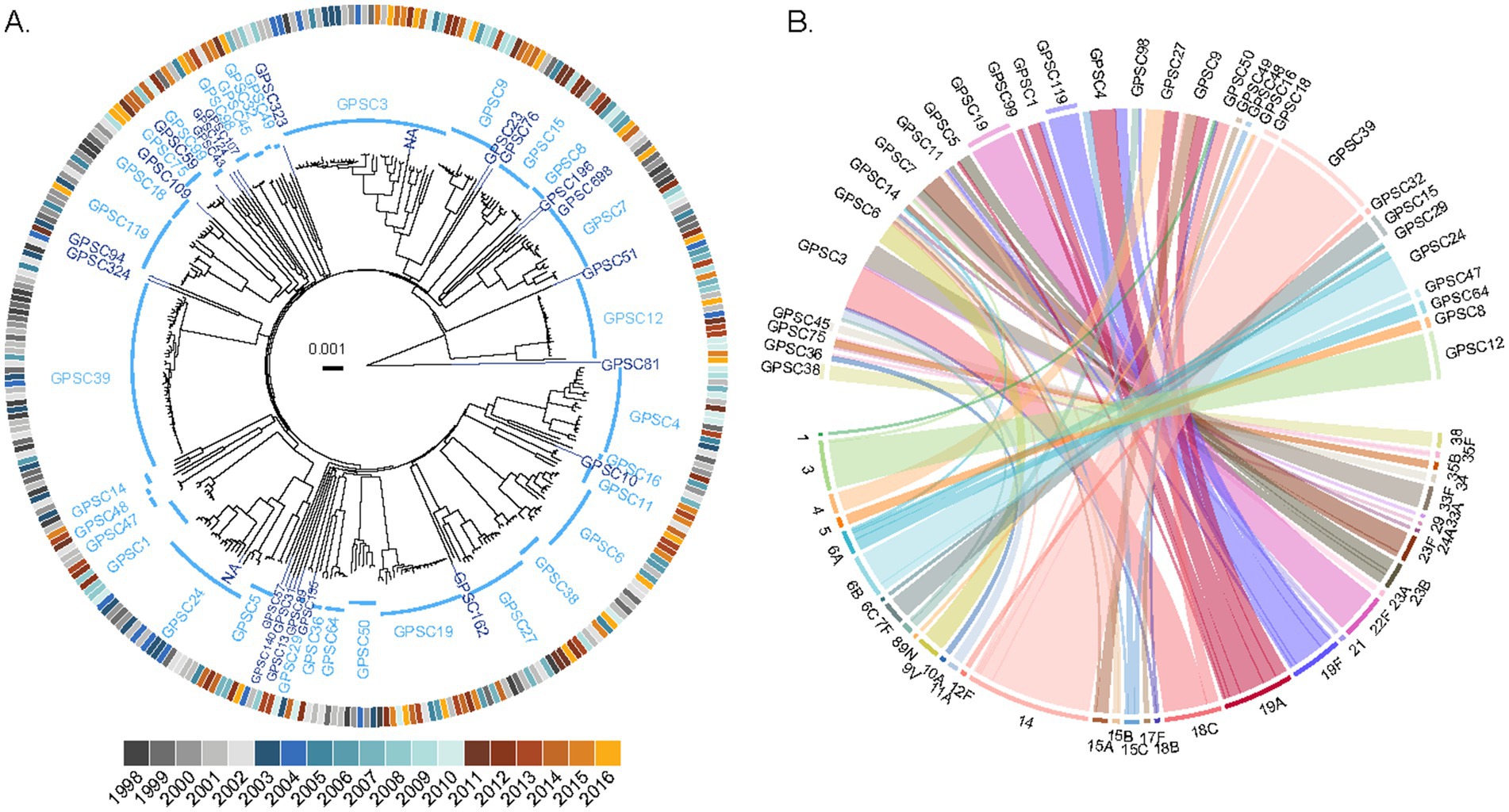 Two circular diagrams labeled A and B. Diagram A is a phylogenetic tree with various branches labeled GPSC1 to GPSC324, encircled by a color-coded timeline from 1998 to 2016. Diagram B is a colorful chord diagram showing connections between the same GPSC labels and various numeric or alphanumeric identifiers, illustrating relationships or shared characteristics. Each segment in both diagrams is distinctly colored for differentiation.