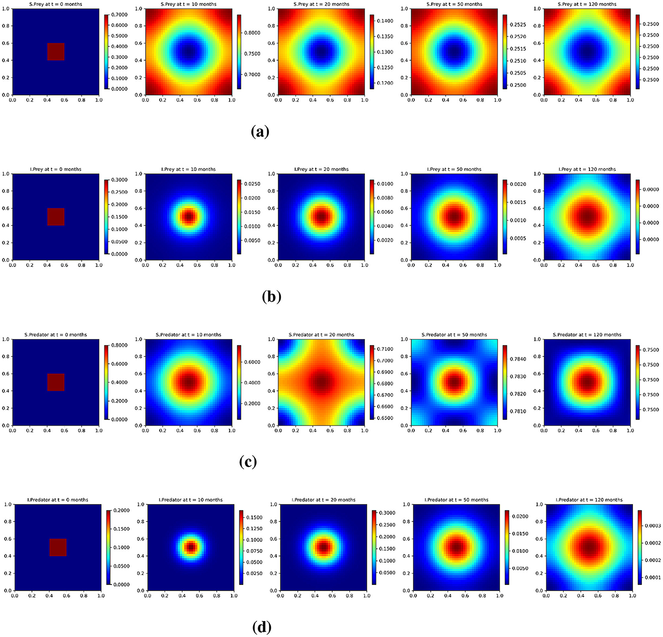 Heat maps display the solution profiles of a spatio-temporal eco-epidemiological model with the Base diffusion (10−2). The maps show the evolution of four the populations over time: susceptible prey (us), infected prey (ui), susceptible predators (vs), and infected predators (vi). Each group includes five maps representing distributions at t = 0, 10, 20, 50, and 120 months.