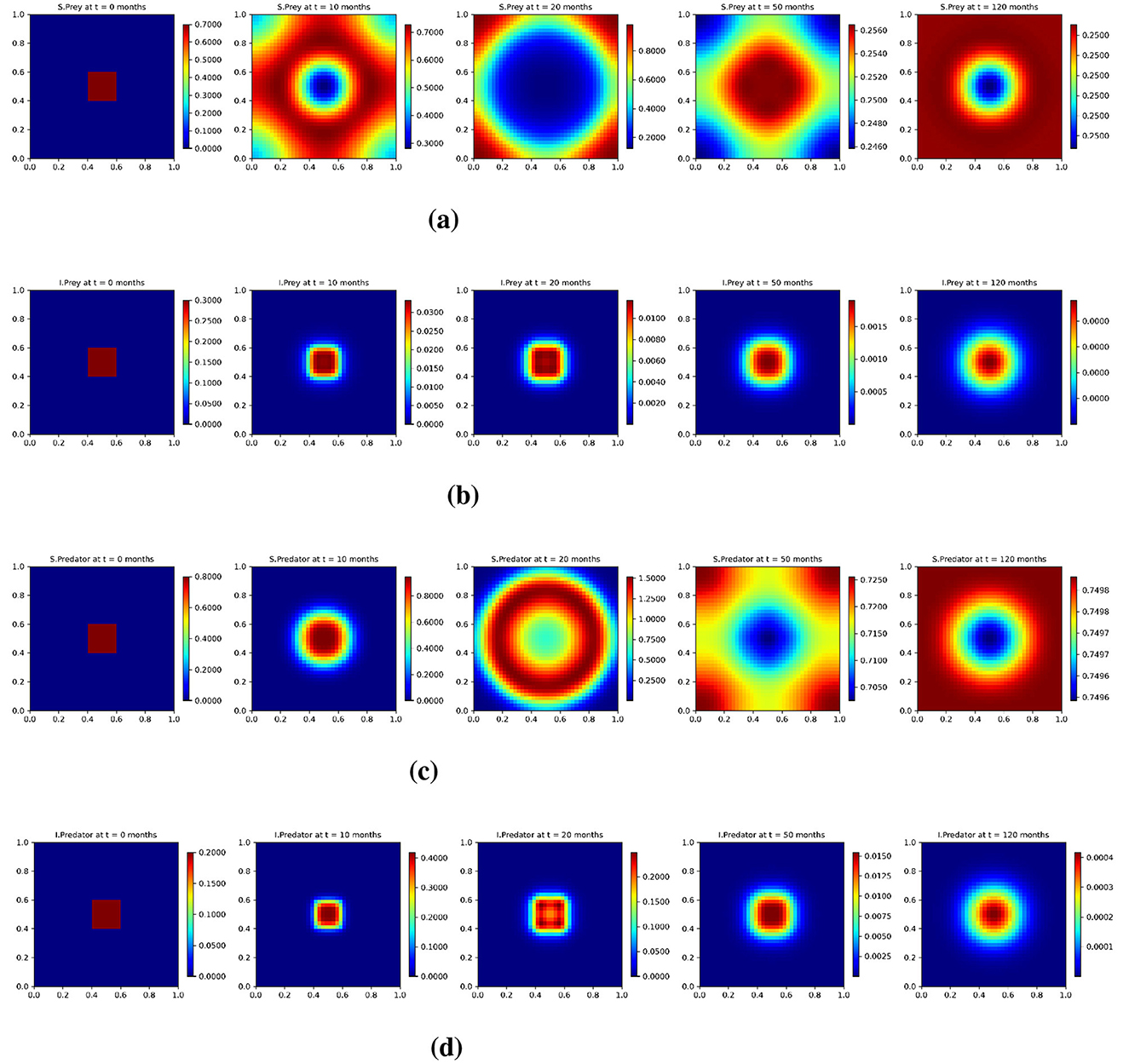 Test 3: Heat maps illustrating the solution profiles of a spatiotemporal eco-epidemiological model the Low diffusion (10−3). The maps show the spatial distribution of the four populations over time: (a) susceptible prey (us), (b) infected prey (ui), (c) susceptible predators (vs), and (d) infected predators (vi). Each row represents a population category, with maps shown at five time points: t = 0, 10, 20, 50, and 120 months.