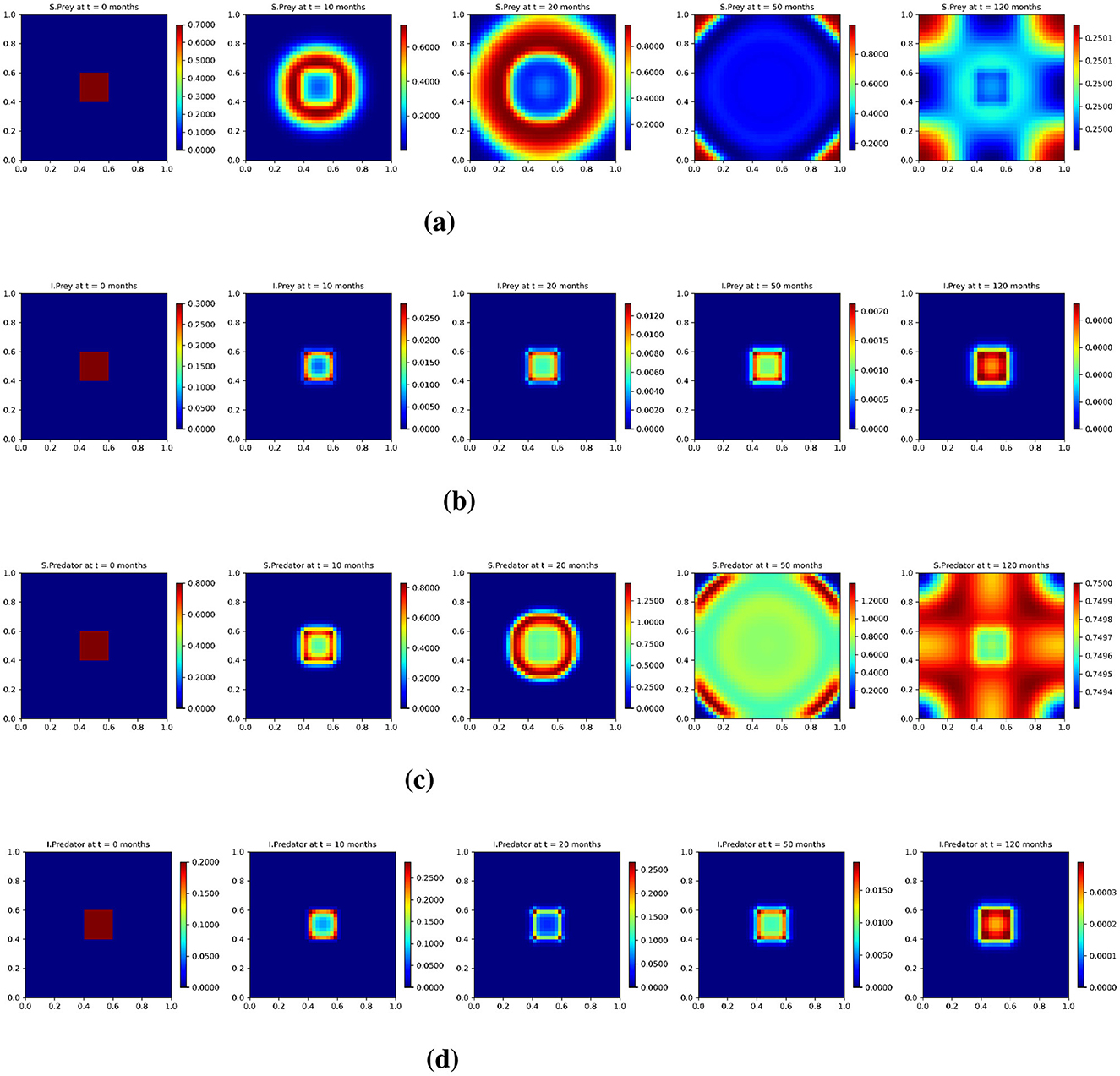Test 3: Heat maps illustrating the solution profiles of a spatiotemporal eco-epidemiological model the Lower diffusion (10−4). The maps show the spatial distribution of the four populations over time: (a) susceptible prey (us), (b) infected prey (ui), (c) susceptible predators (vs), and (d) infected predators (vi). Each row represents a population category, with maps shown at five time points: t = 0, 10, 20, 50, and 120 months.