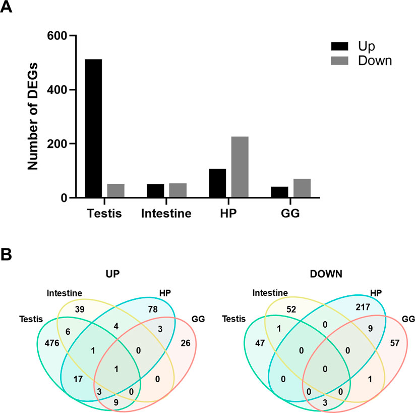 Bar chart and Venn diagrams display differentially expressed genes (DEGs) across tissues. In the bar chart,