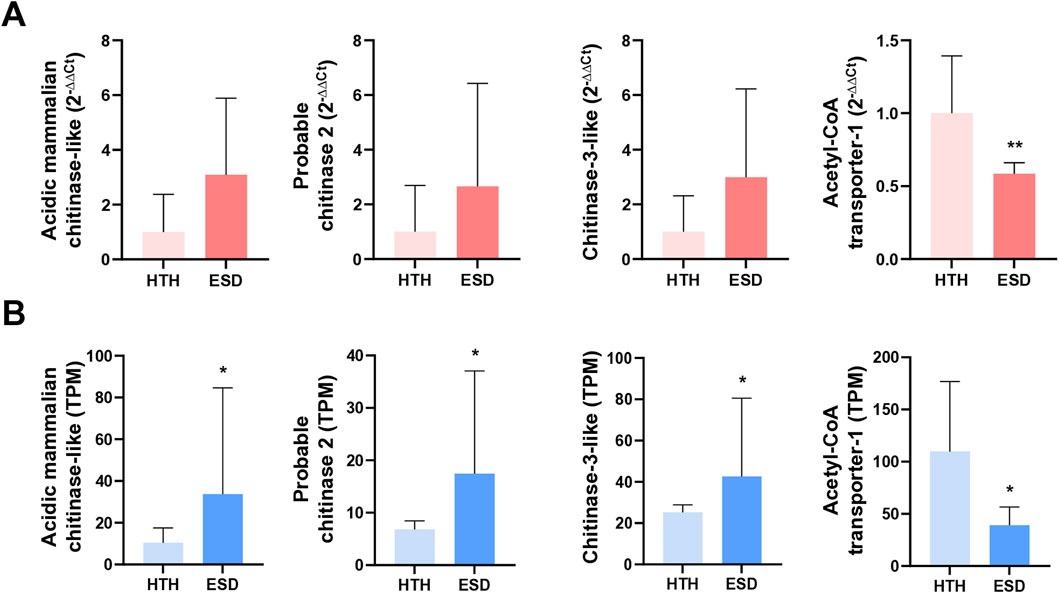 Bar charts comparing gene expression in two conditions, HTH and ESD. A: Expression measured by 2^(-ΔΔCt) for four genes. Notable difference in Acetyl-CoA transporter-1, with lower expression in ESD, marked by double asterisks. B: Expression measured by TPM for the same genes. Significant increase in ESD for all genes except Acetyl-CoA transporter-1, where lower expression is marked by an asterisk.