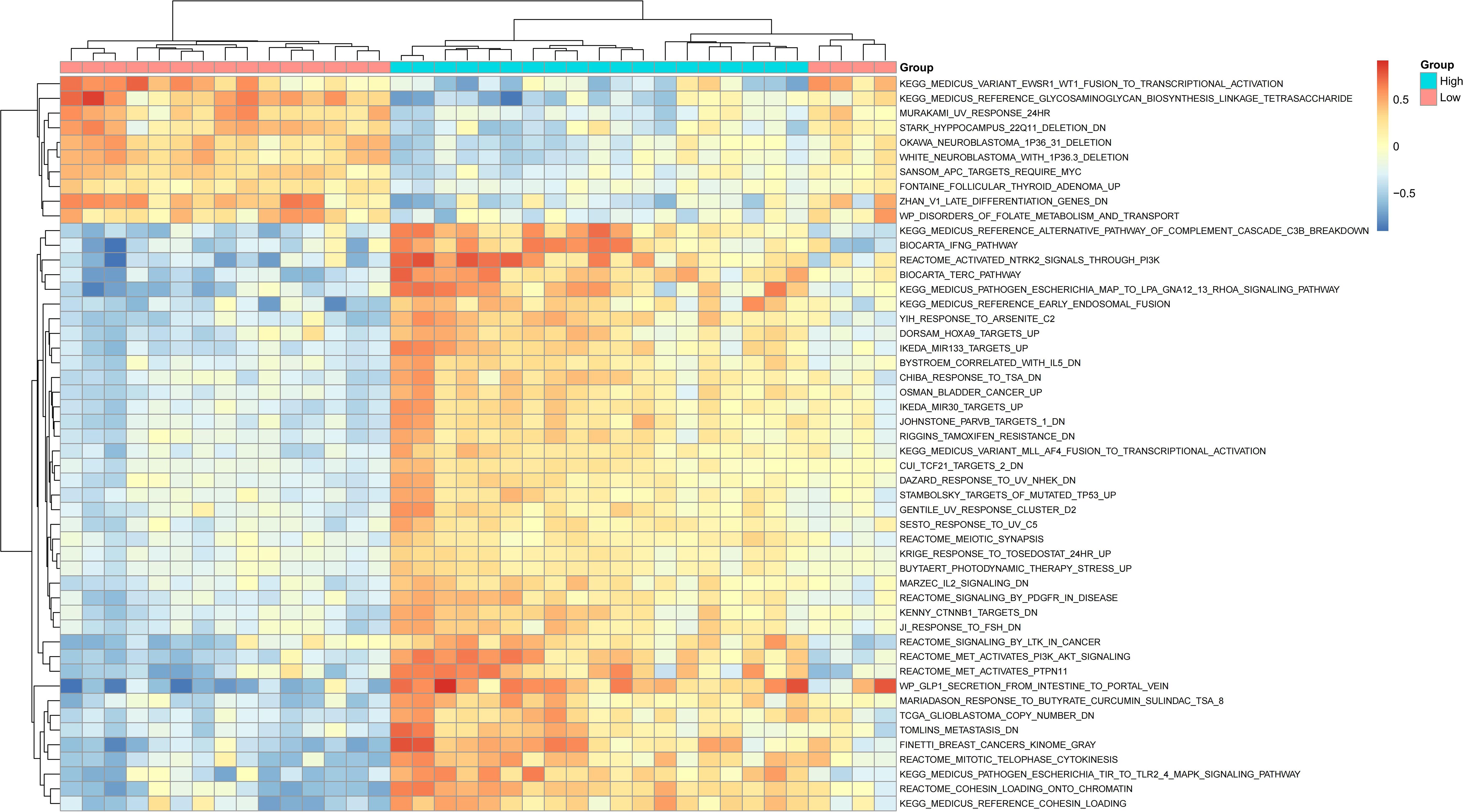 Clustered heatmap depicting gene expression data. Rows represent gene sets annotated by their respective identifiers. Columns represent samples grouped at the top dendrogram. Color gradient ranges from blue for low expression to red for high expression, with yellow indicating intermediate values. Group annotations are displayed at the top, with clusters visually evident. The graph shows patterns of gene expression across different groups, providing insights into gene regulation or phenotype associations.