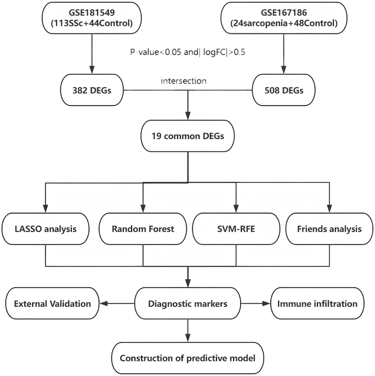 Flowchart depicting the analysis process of differentially expressed genes (DEGs) from two datasets, GSE181549 and GSE167186, filtered by p-value and logFC, identifying 19 common DEGs. These undergo LASSO analysis, Random Forest, SVM-RFE, and Friends analysis to determine diagnostic markers. The workflow includes external validation and immune infiltration analysis, leading to constructing a predictive model.