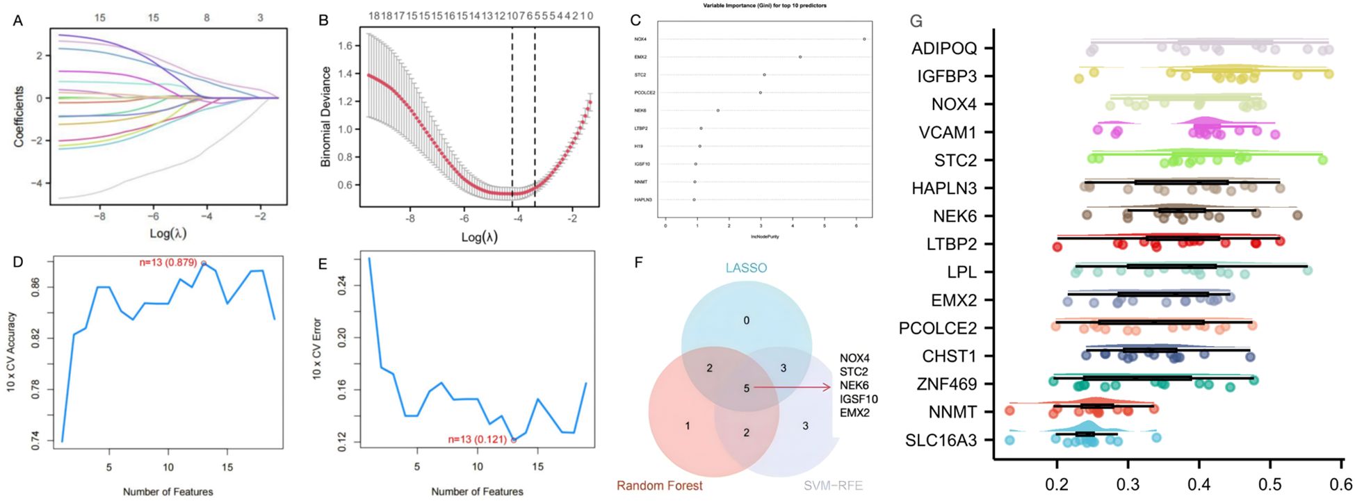 The image contains several graphs and charts related to statistical modeling and feature selection. Panel A shows coefficient paths for different lambda values in a LASSO regression. Panel B illustrates binomial deviance across lambda values. Panel C displays variable importance for top predictors as a dot plot. Panel D represents accuracy versus the number of features, and Panel E shows cross-validation error versus number of features. Panel F is a Venn diagram comparing feature selection methods: LASSO, Random Forest, and SVM-RFE. Panel G lists gene names aligned with points on a horizontal axis, indicating some form of comparison or ranking.