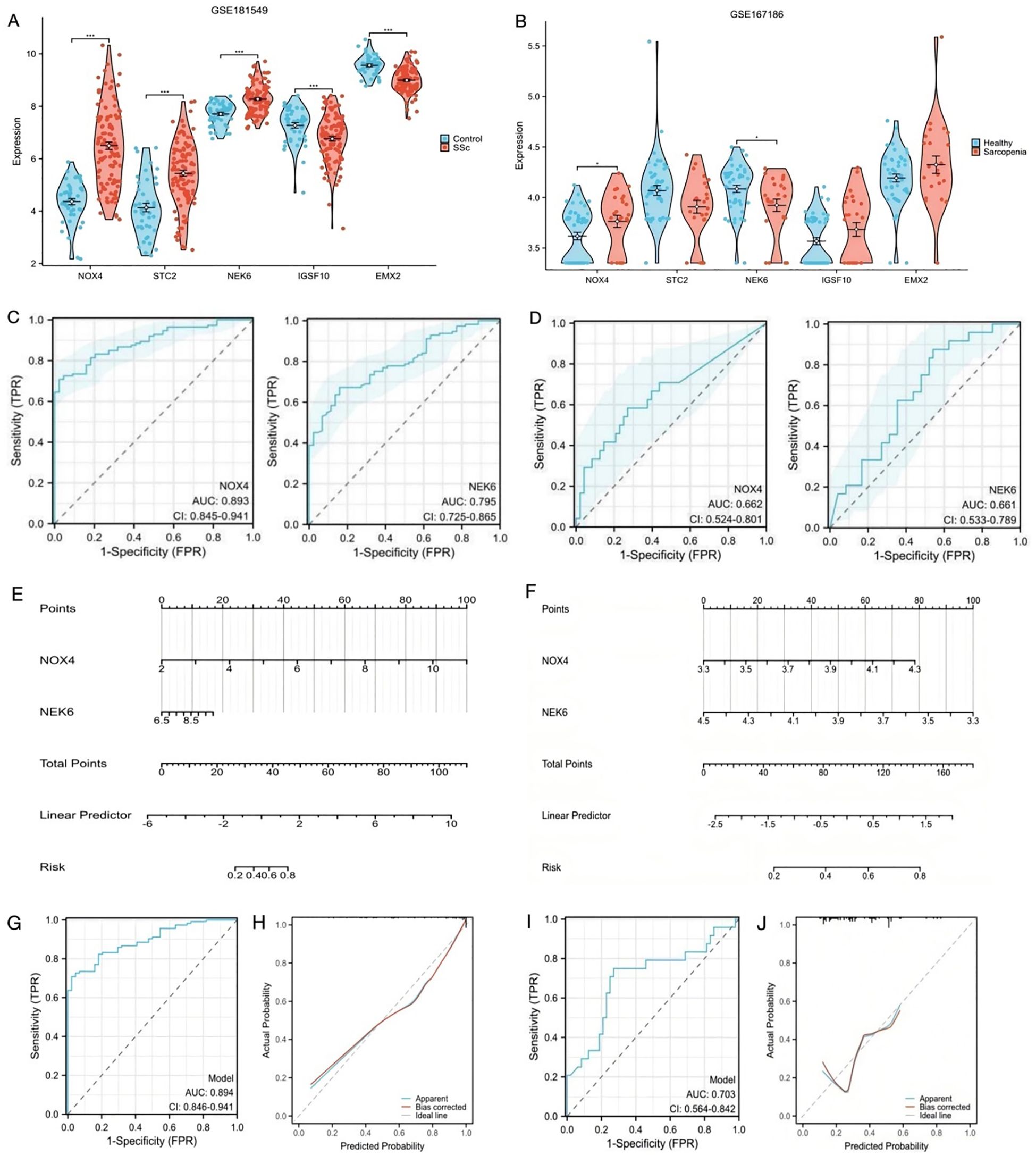 Panels A and B show violin plots comparing gene expression levels for various genes between two groups. Panels C and D display ROC curves for NOX4 and NEK6 with respective AUC values, indicating model performance. Panels E and F present nomograms predicting risk using points related to NOX4 and NEK6. Panels G and I contain additional ROC curves for predictive models, and Panels H and J show calibration curves with observed versus predicted probabilities.