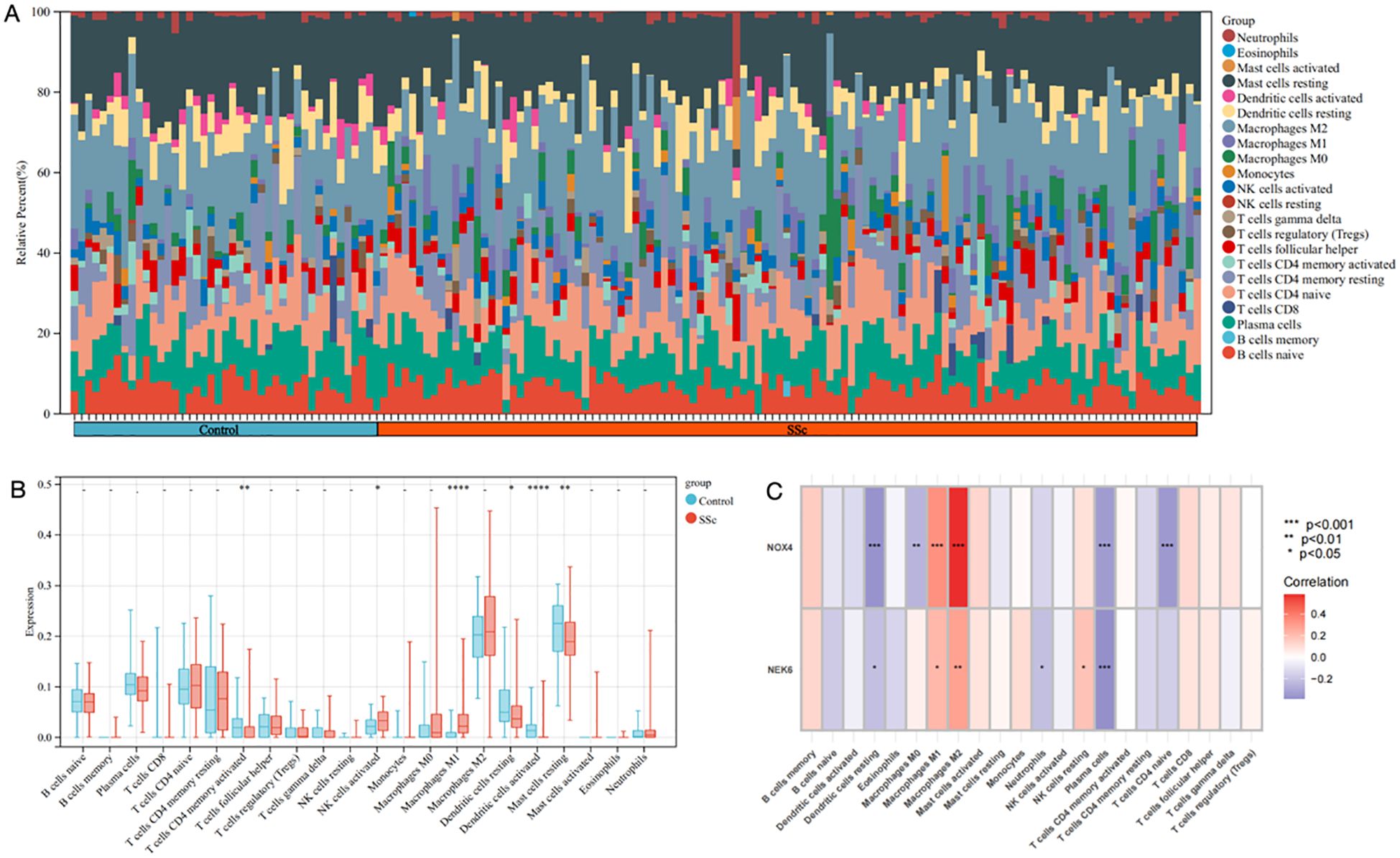 Panel A displays a stacked bar chart illustrating the relative percentages of various immune cell types in control versus SSc groups. Panel B shows a box plot comparing the expression levels of these cell types in both groups. Panel C is a heatmap depicting the correlation of NOX4 and NEK6 expressions with different cell types, with significance marked by asterisks for p-values.