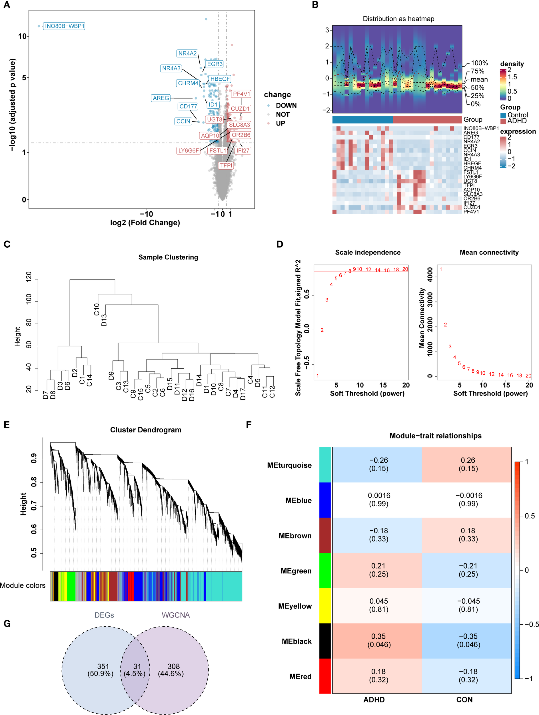 Panel of scientific data visualizations related to gene expression analysis. (A) Volcano plot showing gene expression changes with highlighted genes. (B) Heatmap distribution comparing gene expression between control and ADHD groups. (C) Dendrogram for sample clustering. (D) Graphs illustrating scale independence and mean connectivity. (E) Cluster dendrogram displaying module colors from DEG and WGCNA analyses. (F) Heatmap of module-trait relationships with correlation values for different modules. (G) Venn diagram showing overlap between DEGs and WGCNA data.