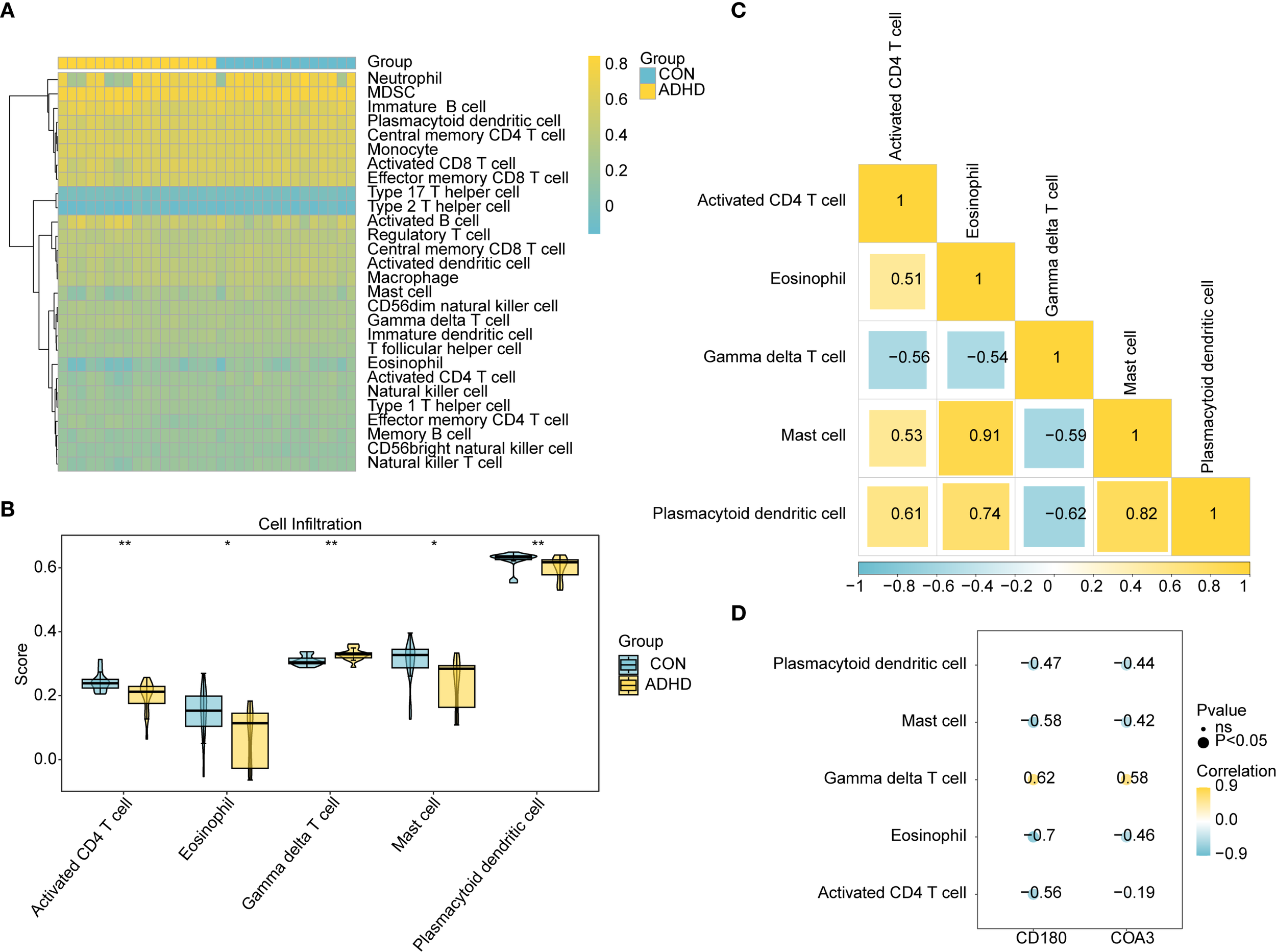 Panel A shows a heatmap of immune cell types in CON and ADHD groups, with colors ranging from blue (low) to yellow (high). Panel B is a box plot comparing cell infiltration scores between groups. Panel C presents a correlation matrix for select immune cells, with values color-coded from blue (negative) to yellow (positive). Panel D shows a scatter plot of correlations between cell types and markers CD180 and COA3, with points sized by significance.