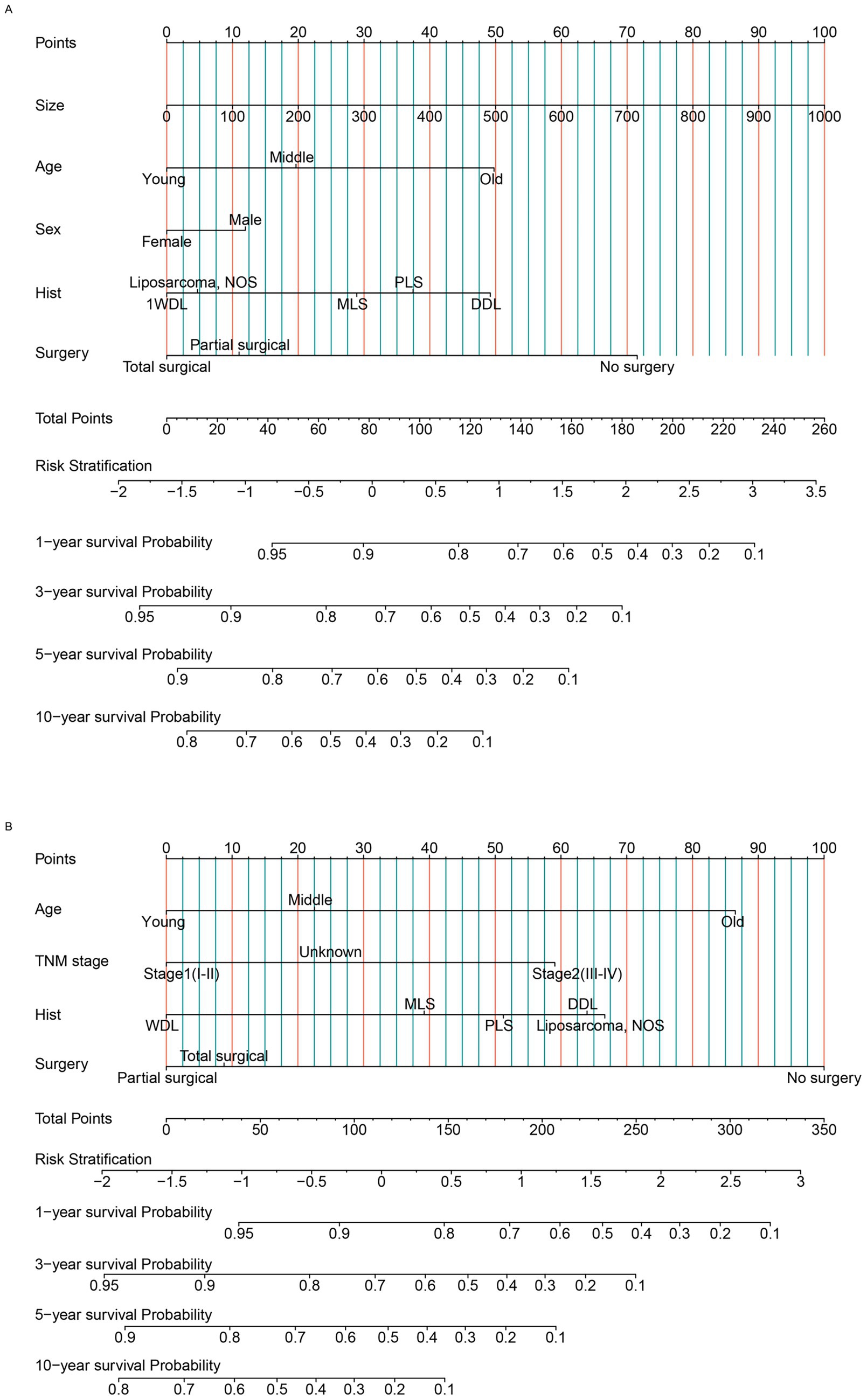 Two nomograms for predicting 1, 3, 5, and 10-year survival probabilities. Panel A considers factors like size, age, sex, histology, and surgery, with points contributing to risk stratification. Panel B includes age, TNM stage, histology, and surgery, also translating points into risk stratification for survival probabilities. Both charts illustrate total points and associated survival probabilities, aiding in decision-making based on clinical variables.