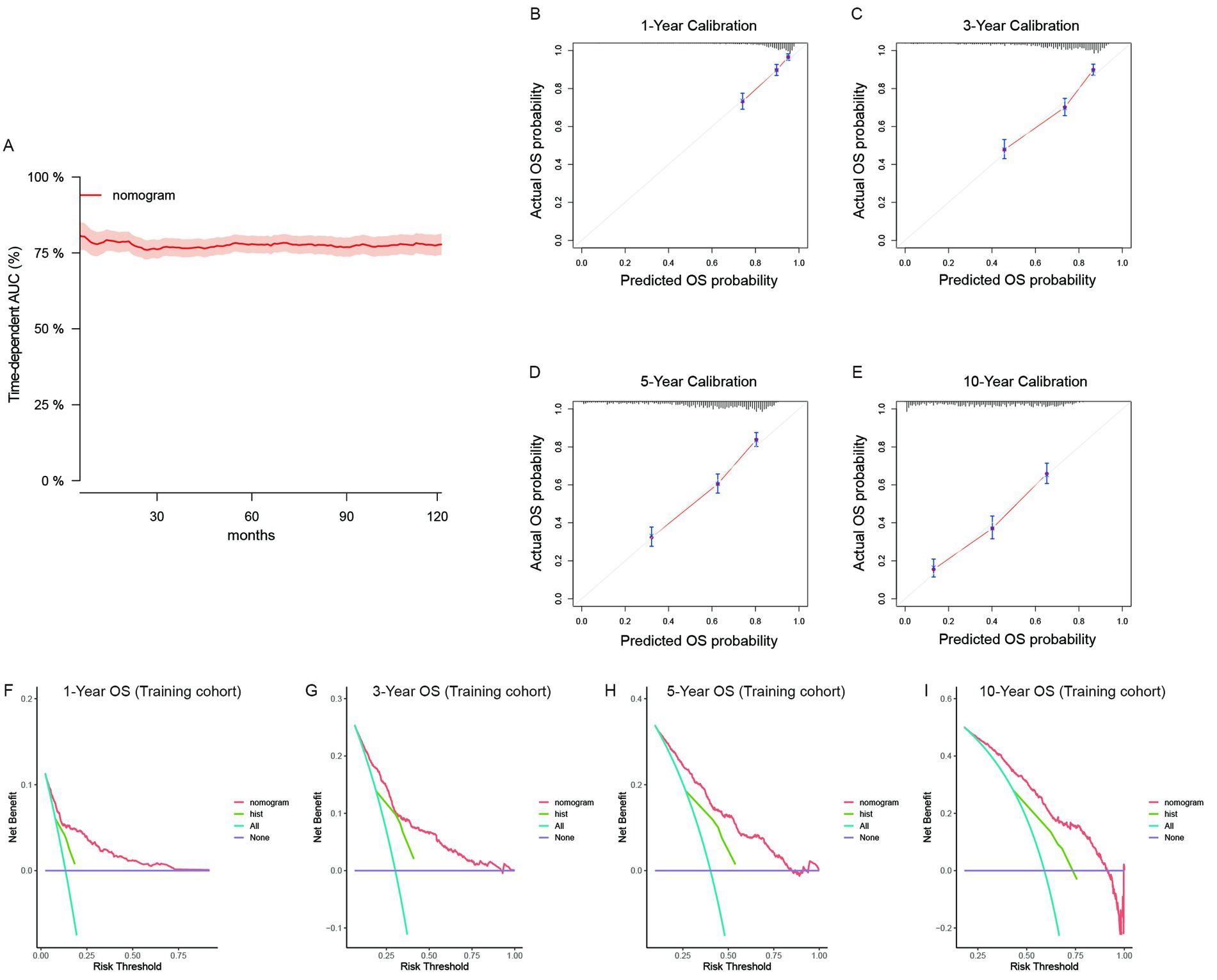 Graph A shows time-dependent AUC of a nomogram at 100% declining slightly over time up to 120 months. Charts B to E show calibration plots for predicted versus actual OS probability at 1, 3, 5, and 10 years with lines close to the diagonal. Graphs F to I depict decision curves for net benefit versus risk threshold over 1, 3, 5, and 10 years, comparing nomogram, hist, All, and None strategies.