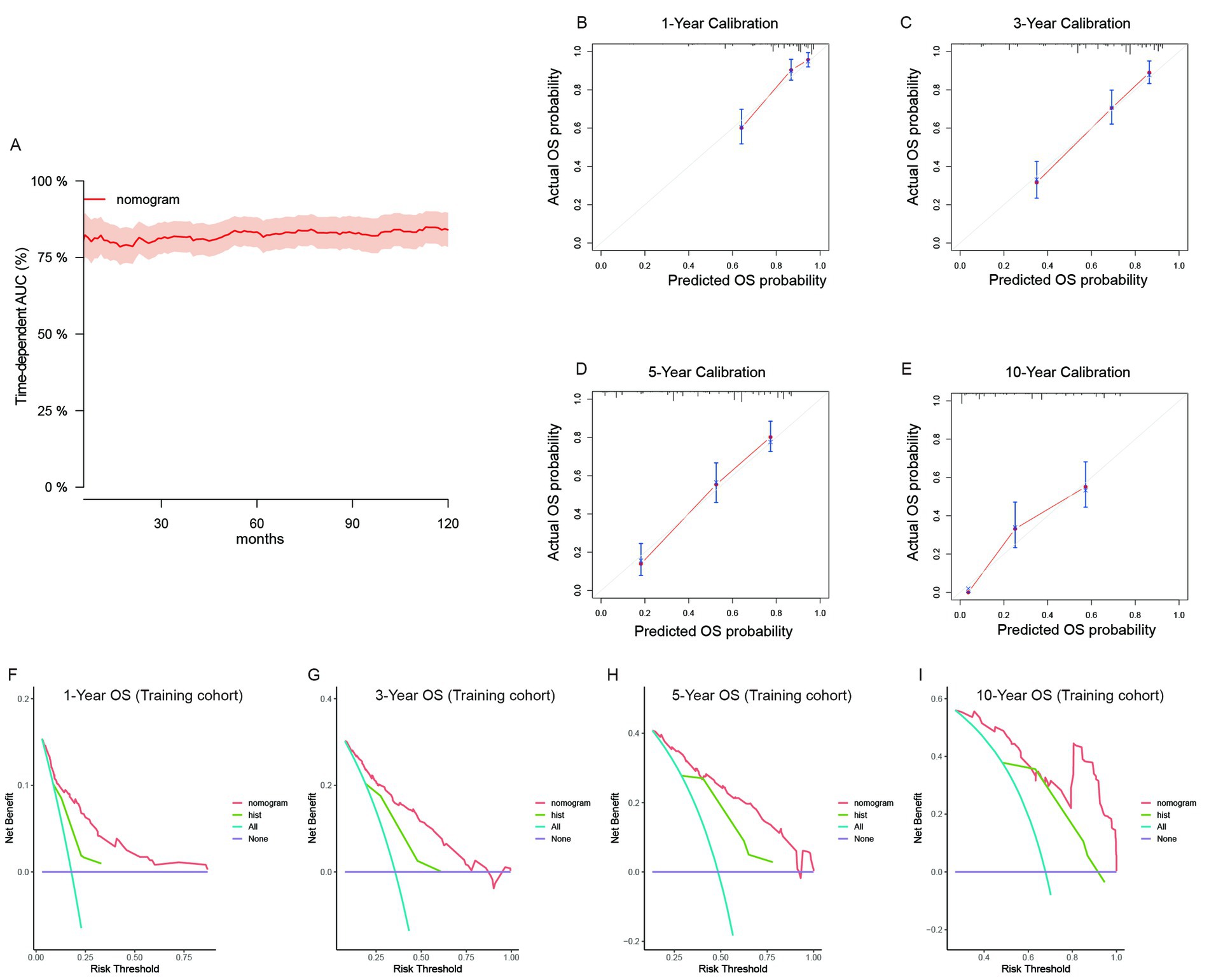 A series of graphs illustrating nomogram performance and calibrations. Graph A shows time-dependent AUC over 120 months. Graphs B to E display calibration plots for 1, 3, 5, and 10 years, comparing actual versus predicted overall survival probability. Graphs F to I depict decision curve analyses for 1, 3, 5, and 10-year overall survival in a training cohort, with curves for nomogram, hist, All, and None, showing net benefit across risk thresholds. Each graph highlights accuracy and effectiveness of the nomogram in predicting outcomes.