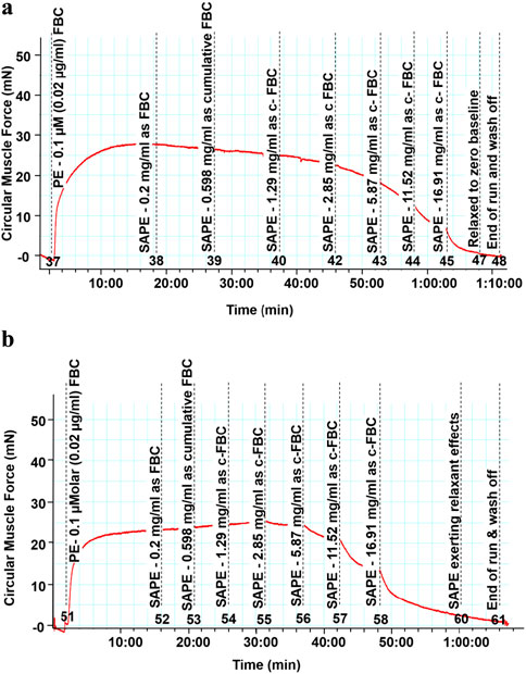 Two line graphs labeled a and b show circular muscle force in milli-newtons (mN) over time in minutes. Both graphs display an initial increase in force with PE, followed by incremental increases and decreases with SAPE at varying concentrations. The force eventually returns close to zero, indicating relaxation. Vertical lines mark concentrations and key events like
