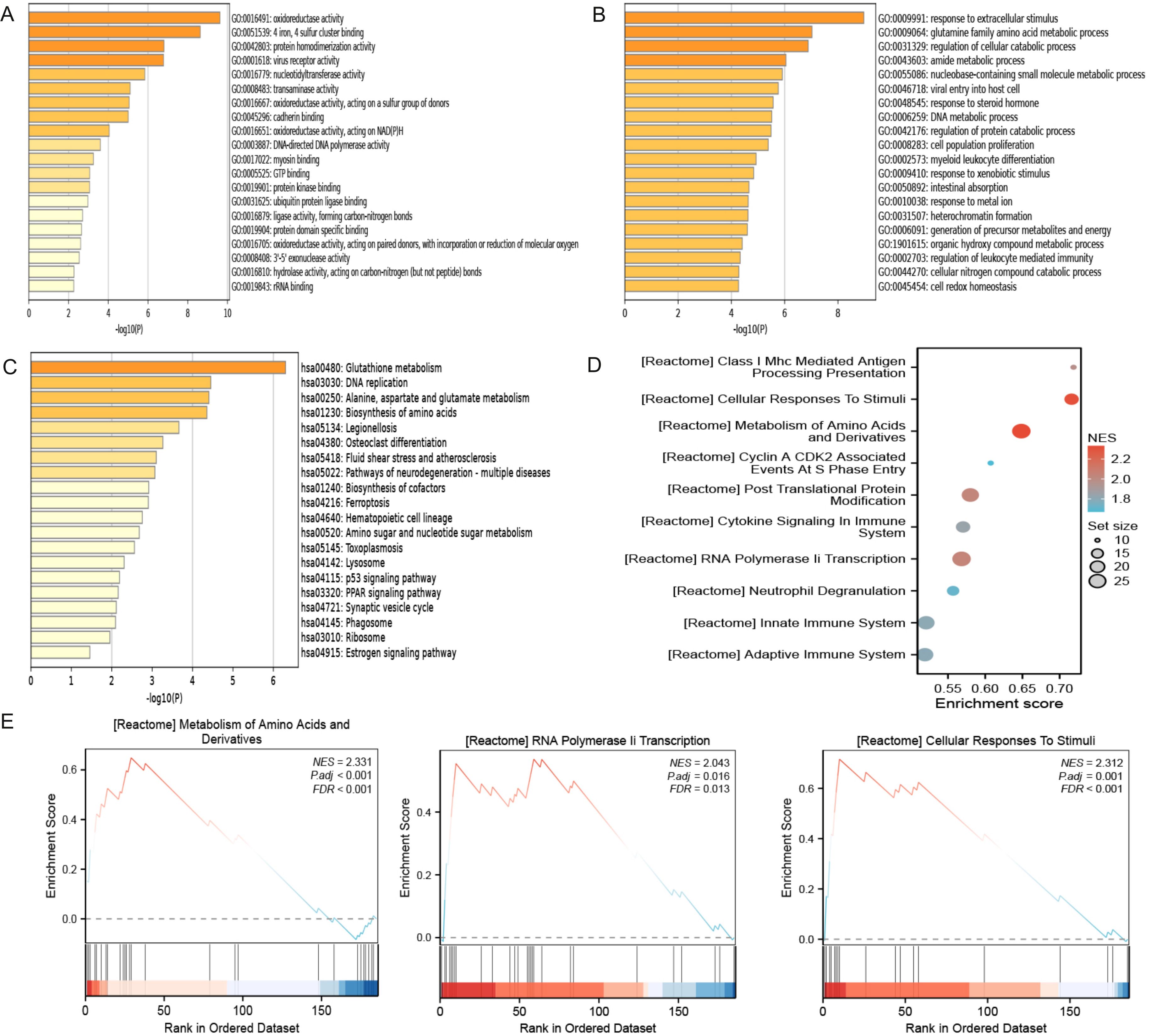 Grouped images feature gene and protein analysis data visualizations. Panels A to C display bar charts for biological processes, metabolic pathways, and organismal systems with color gradients representing significance. Panel D is a bubble plot showing pathway enrichment scores and sizes. Panel E presents line graphs of enrichment scores against ordered dataset ranks, highlighting specific Reactome pathways.