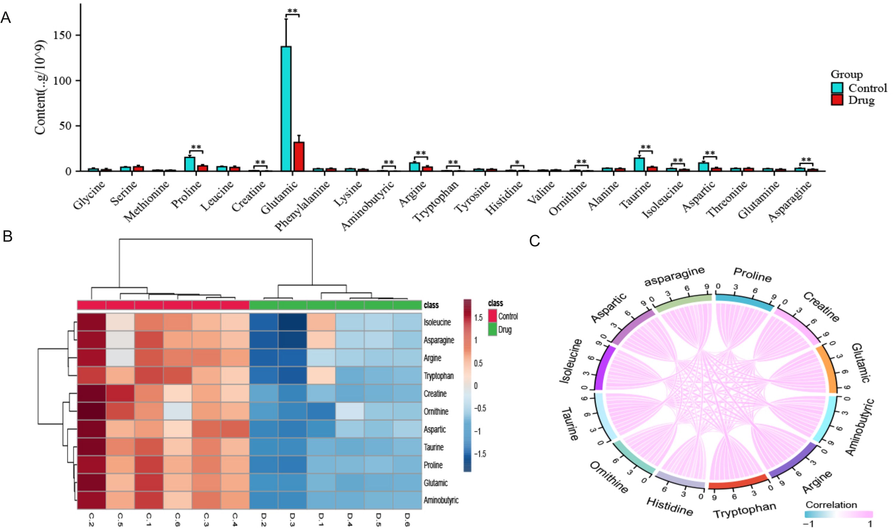 Chart A depicts a bar graph showing amino acid content, comparing control and drug groups, with glutamic acid notably higher in the drug group. Chart B features a heatmap of amino acid levels, with distinct clustering between control and drug groups. Chart C illustrates a circular correlation diagram, highlighting relationships among various amino acids with varying correlation strengths.