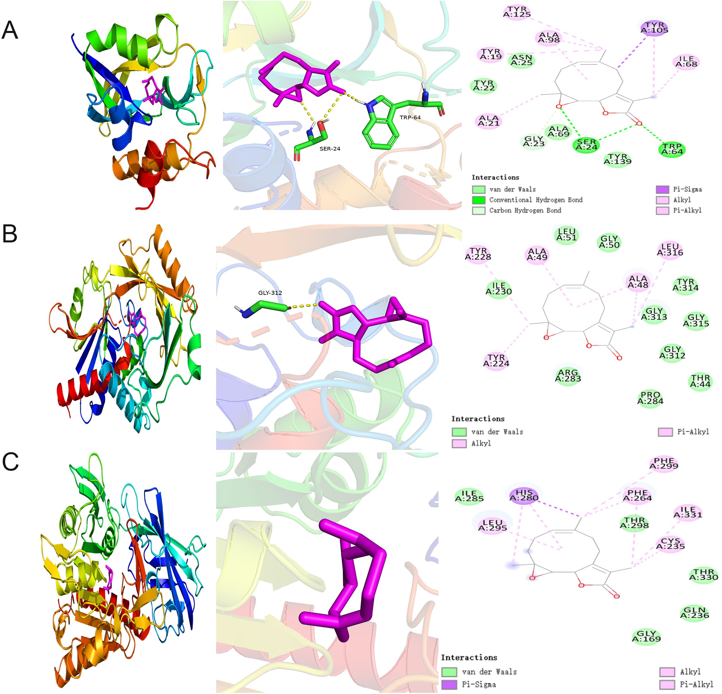Three-panel image showing molecular interactions. Panel A: A protein structure with a highlighted ligand in magenta, showing interactions with residues SER-24 and TRP-64. Interaction types include van der Waals and hydrogen bonding. Panel B: Another protein structure with a magenta ligand interacting with GLY-312. Interaction types include van der Waals and alkyl interactions. Panel C: A different protein structure with a magenta ligand. Interaction types include van der Waals, pi-sigma, and pi-alkyl interactions.