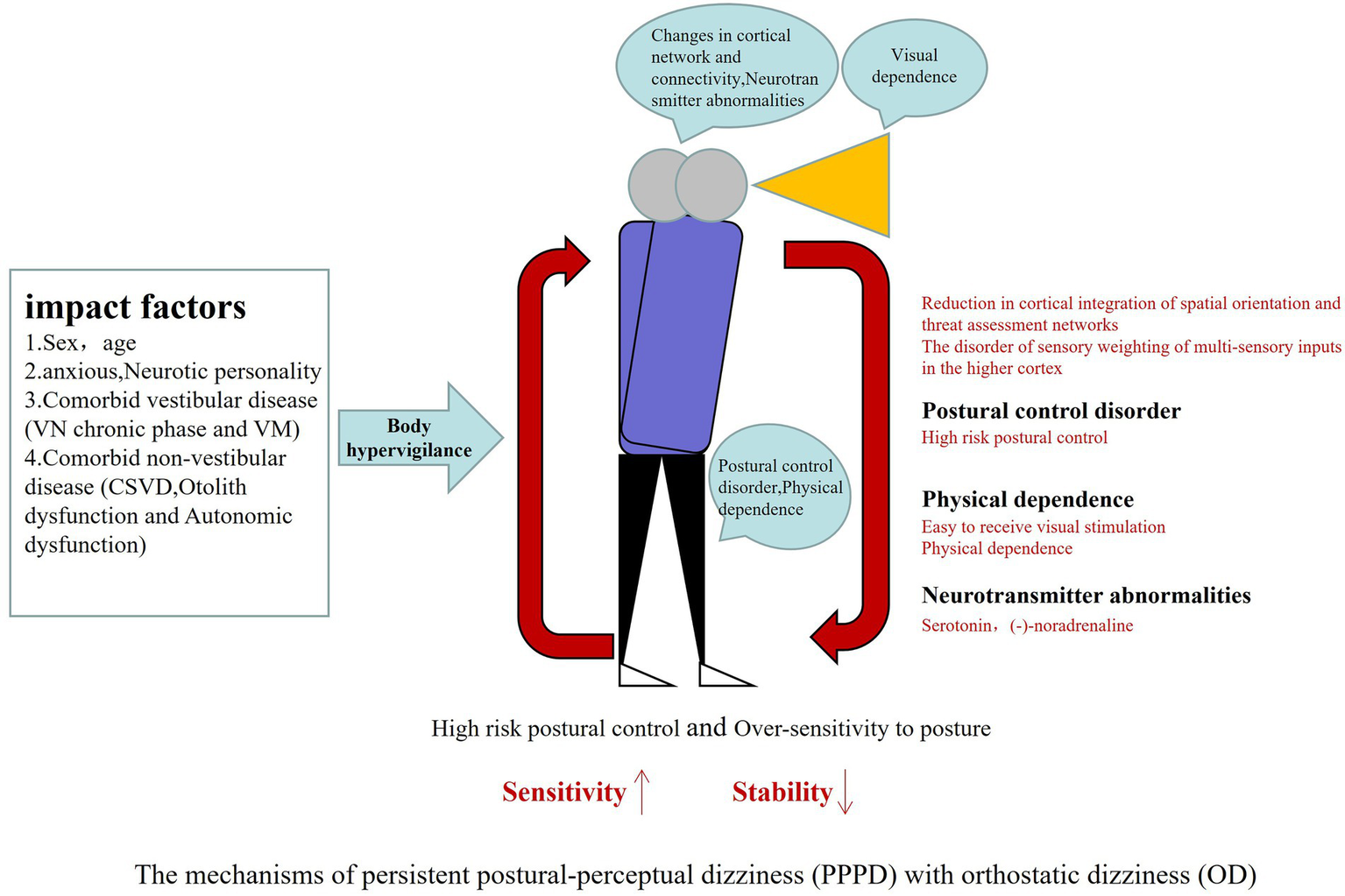 Diagram illustrating the mechanisms of persistent postural-perceptual dizziness (PPPD) with orthostatic dizziness (OD). It highlights impact factors like sex, age, and personality. Body hypervigilance and visual dependence are depicted, along with postural control disorder and neurotransmitter abnormalities. Annotations indicate decreased stability and increased sensitivity, emphasizing high-risk postural control.