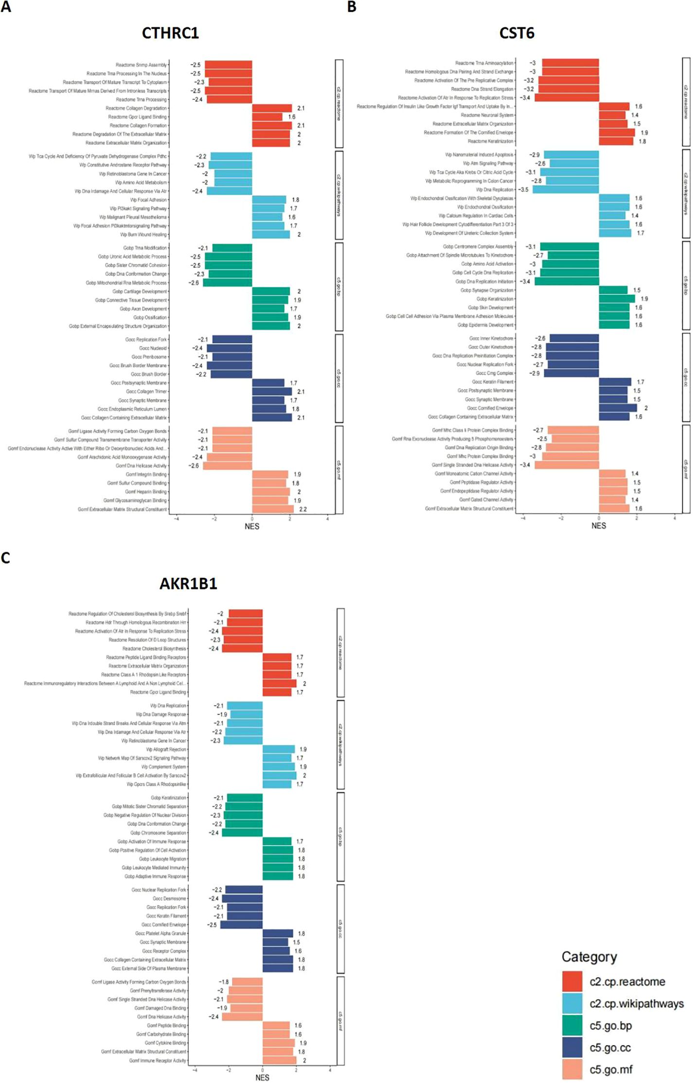 Bar charts labeled A, B, and C depict gene set enrichment analysis for CTHRC1, CST6, and AKR1B1 respectively. Each chart shows NES (Normalized Enrichment Score) on the x-axis, with various pathway categories represented by colored bars: red for Reactome, green for WikiPathways, and shades of blue for different Gene Ontology categories. Each pathway is listed alongside its corresponding NES values, illustrating pathway involvement in diverse biological processes.