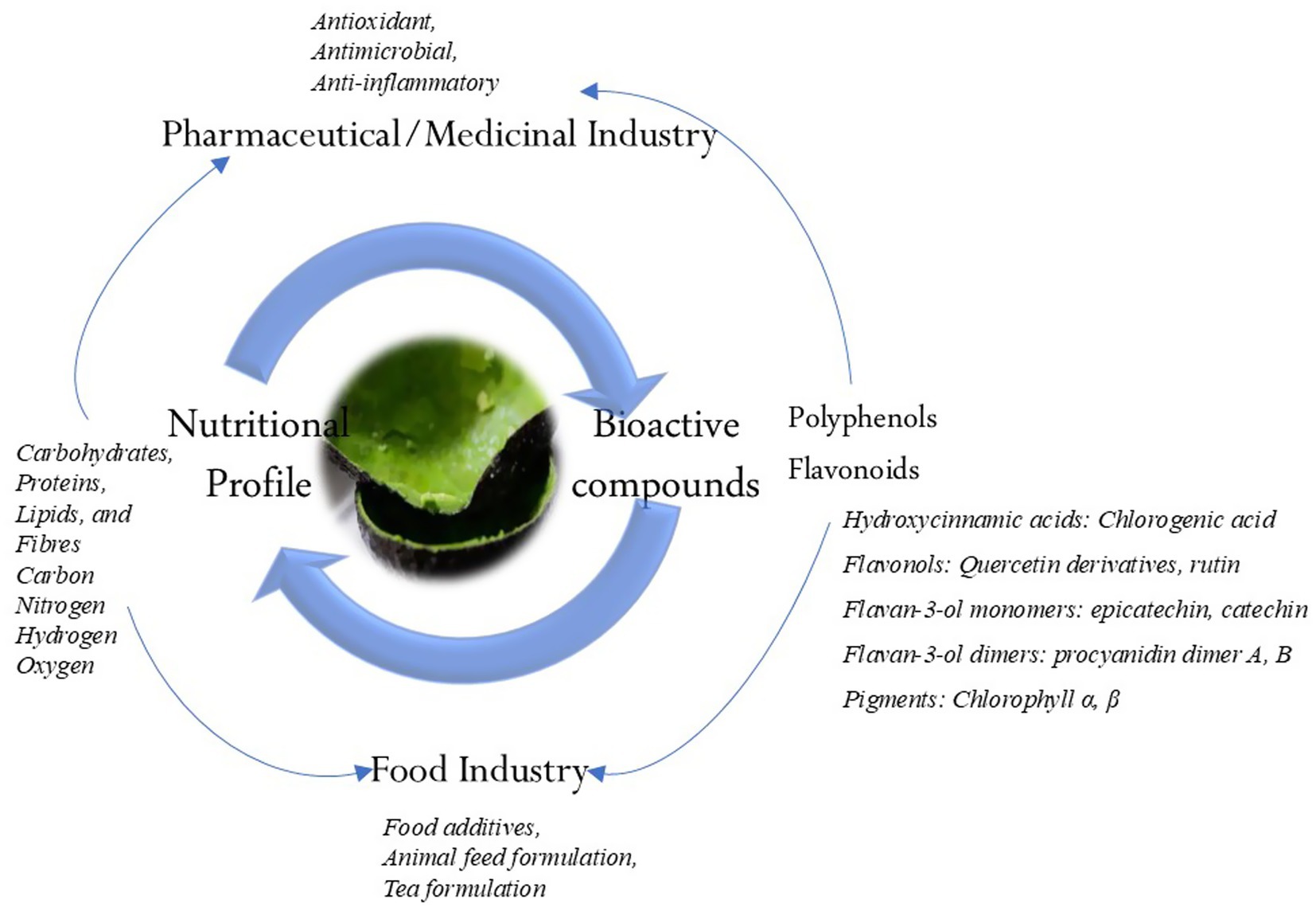 Diagram illustrating the roles of bioactive compounds with a green leaf in the center. Arrows form a cycle linking the pharmaceutical and food industries with bioactive compounds and nutritional profile. Bioactive compounds include polyphenols and flavonoids, with specifics like chlorogenic acid and chlorophyll. Nutritional elements listed are carbohydrates, proteins, and fibers. Pharmaceutical benefits noted are antioxidant and antimicrobial properties. Food industry applications include additives and tea formulation.