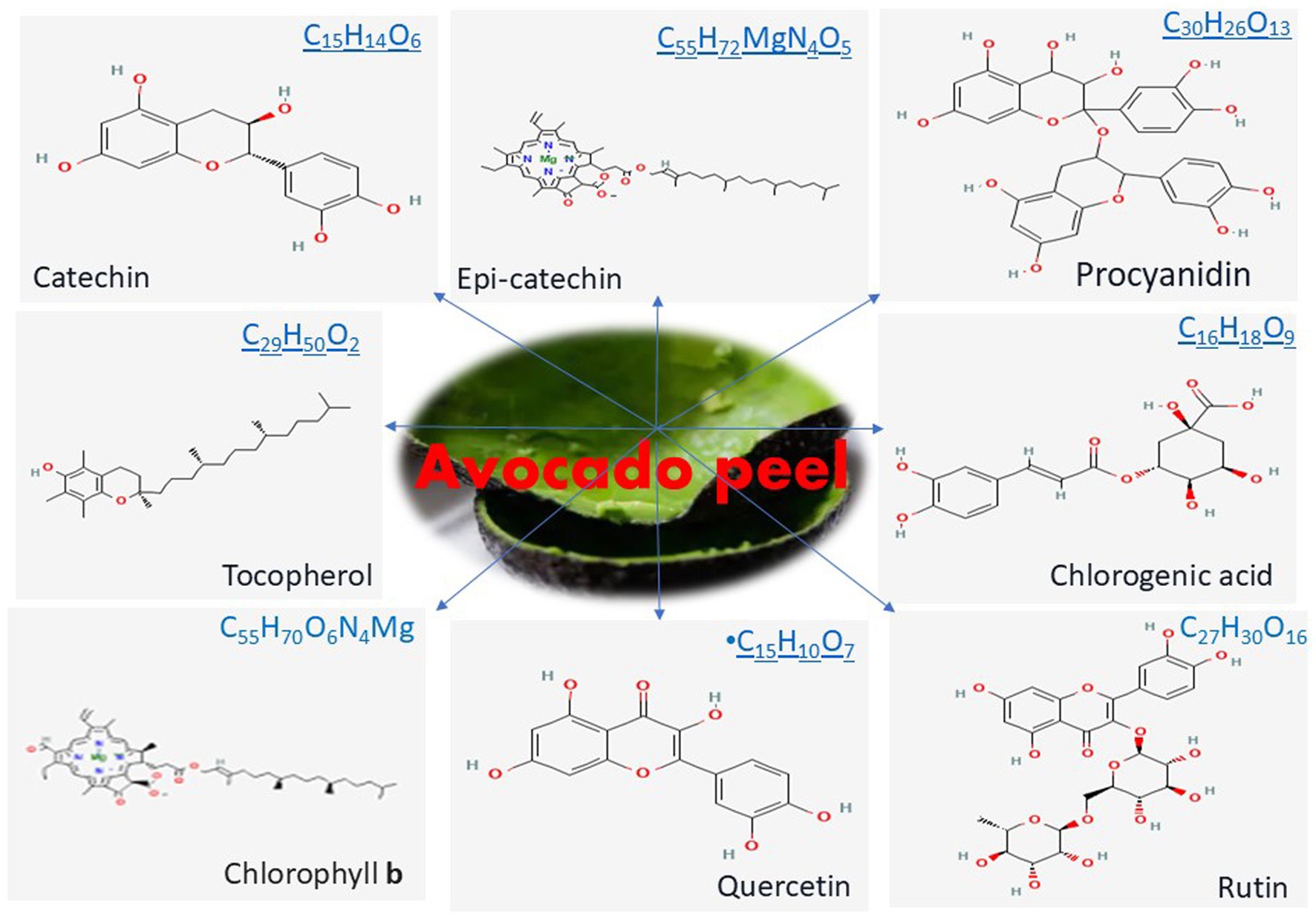 Chemical structures and formulas of compounds found in avocado peel are depicted. These include catechin, epi-catechin, procyanidin, tocopherol, chlorogenic acid, chlorophyll b, quercetin, and rutin. The chemical formulas are shown next to each structure.