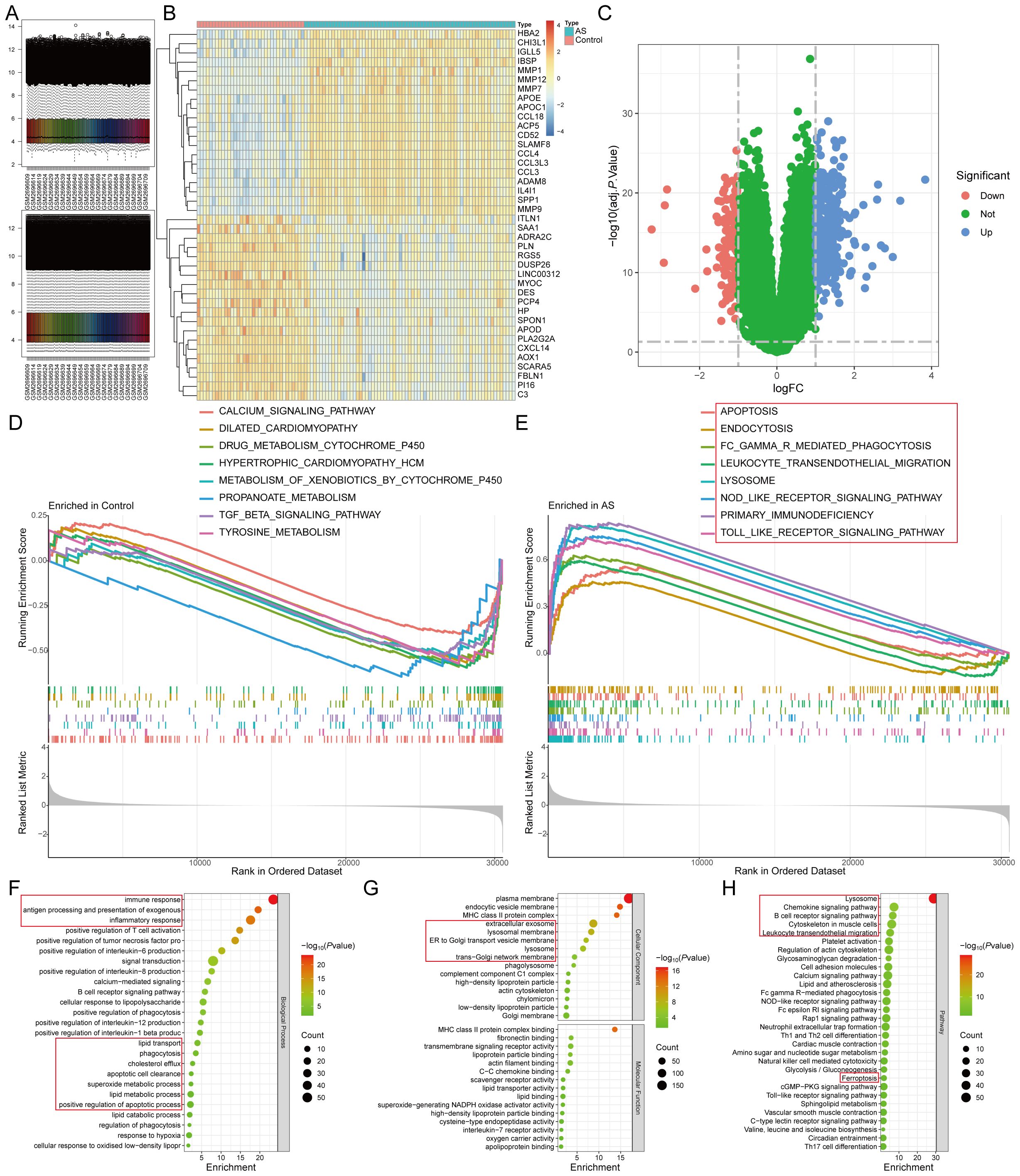 A composite image featuring multiple panels related to gene expression analysis. Panel A shows bar plots representing differential expression of genes across samples. Panel B presents a heatmap with hierarchical clustering, illustrating gene expression patterns. Panel C is a volcano plot displaying log fold changes and significance levels of genes, with points colored to indicate upregulation or downregulation. Panels D and E are enrichment plots for gene set enrichment analysis, highlighting pathways enriched in control and other samples. Panels F, G, and H show dot plots for biological process enrichment, with colored dots representing p-values and sizes indicating gene counts.