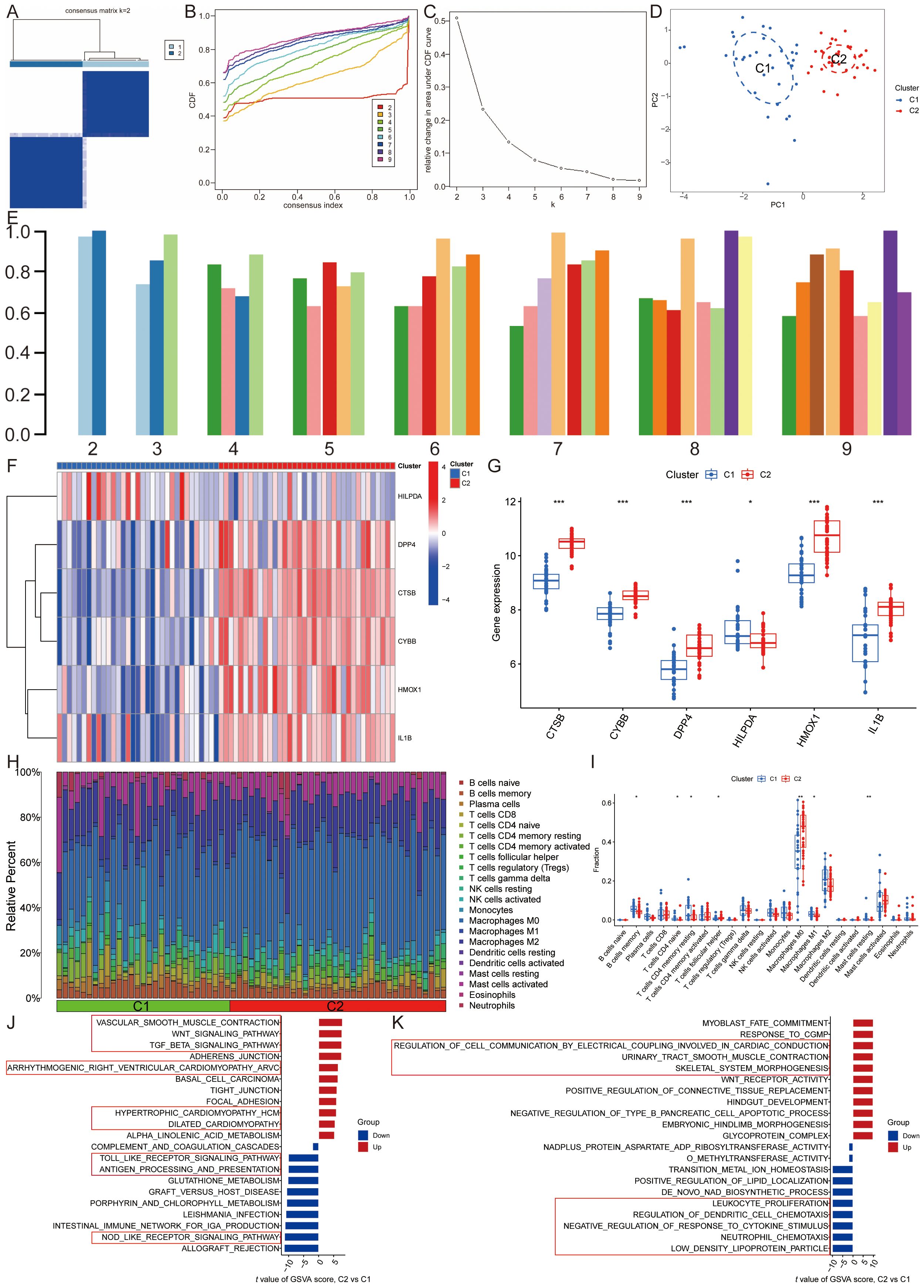 A series of data visualizations illustrates cluster analysis and gene expression. Panel A displays a consensus clustering heat map for K=2. Panel B shows cumulative distribution functions for each consensus index. Panel C is an elbow plot indicating stability across varying cluster numbers. Panel D presents a PCA plot distinguishing two clusters, C1 and C2. Panel E consists of bar graphs demonstrating the consistency of clustering over various indices. Panel F features a heat map of gene expression for specific genes. Panel G includes box plots comparing gene expression between clusters. Panel H depicts the immune cell composition as a stacked bar chart. Panel I presents various gene expressions across clusters using box plots. Panels J and K contain bar graphs related to pathway analysis, highlighting differentially regulated pathways between clusters C1 and C2.
