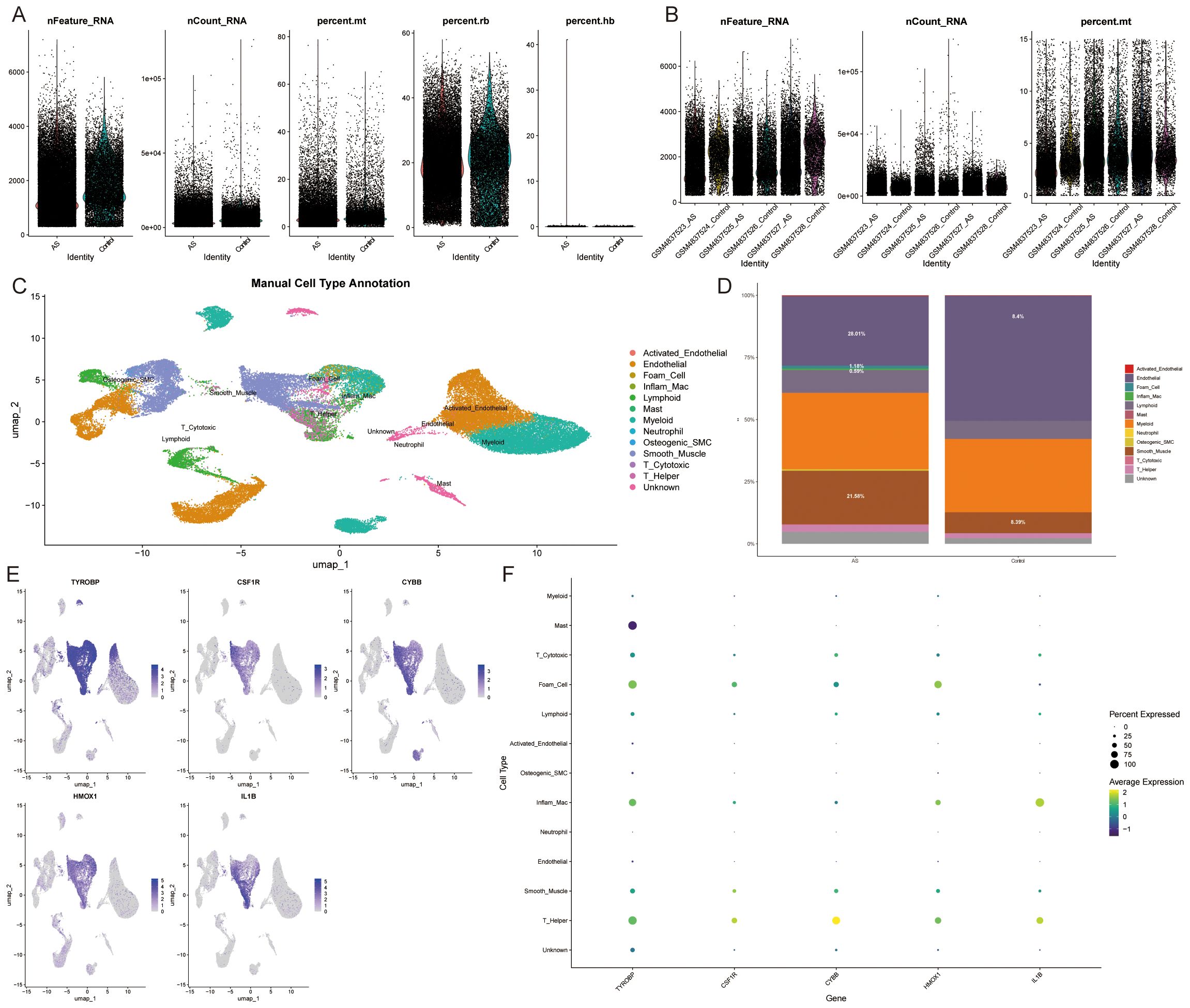 A panel of graphs displaying cell data analysis. Panel A and B are scatter plots showing RNA features across different samples. Panel C is a UMAP plot illustrating cell type annotations with a color-coded legend. Panel D is a stacked bar chart comparing percentages of cell types between two groups. Panel E includes violin plots depicting gene expression levels for specific genes. Panel F is a dot plot showing average expression and percent expressed for several genes across cell types.