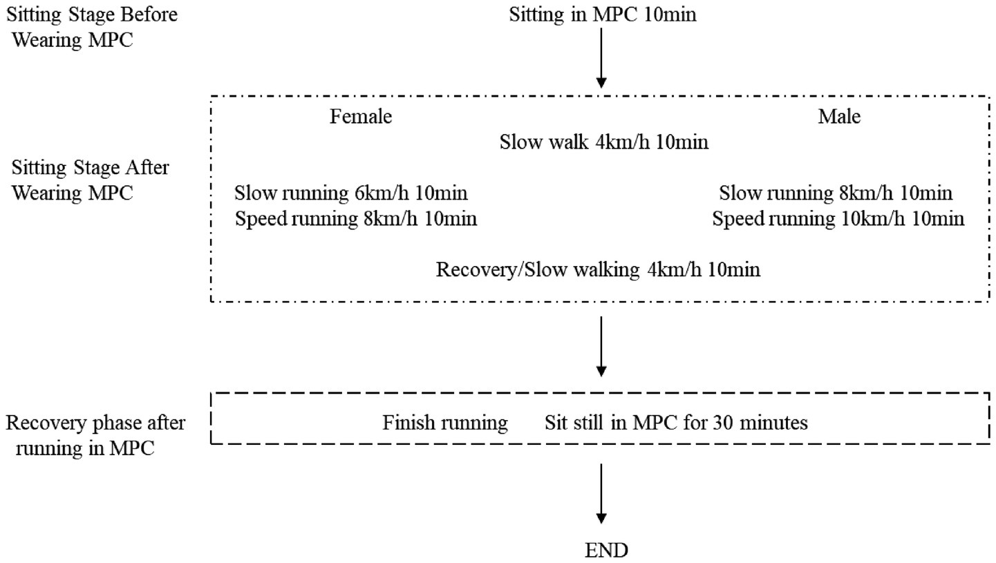 Flowchart describing an exercise protocol. It begins with a sitting stage of 10 minutes in MPC. Females then slow walk at 4 km/h for 10 minutes, followed by slow running at 6 km/h for 10 minutes and speed running at 8 km/h for 10 minutes. Males follow a similar pattern, with slow running at 8 km/h and speed running at 10 km/h. The recovery phase involves slow walking at 4 km/h for 10 minutes. The session concludes with finishing running and sitting still in MPC for 30 minutes. END.