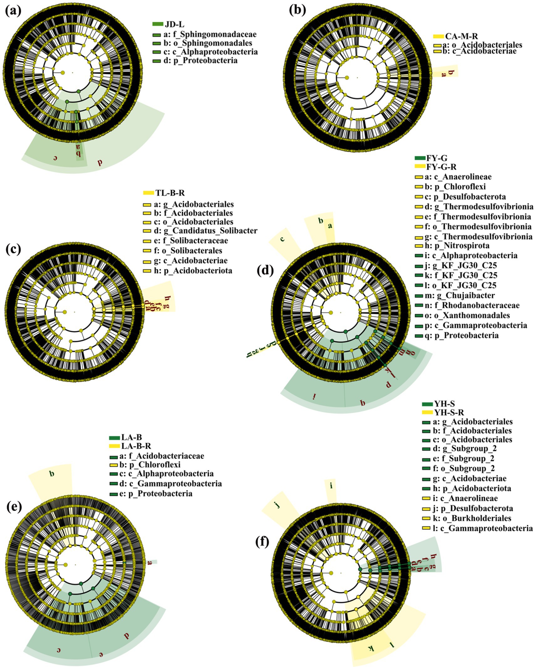 Clustered phylogenetic circle diagrams labeled from (a) to (f), depicting microbial community compositions. Each diagram includes different taxonomic groups, indicated by various colors and legends. The diagrams illustrate the distribution and abundance of microbial groups in multiple samples, highlighting relationships and variances between different microbial families and phyla.