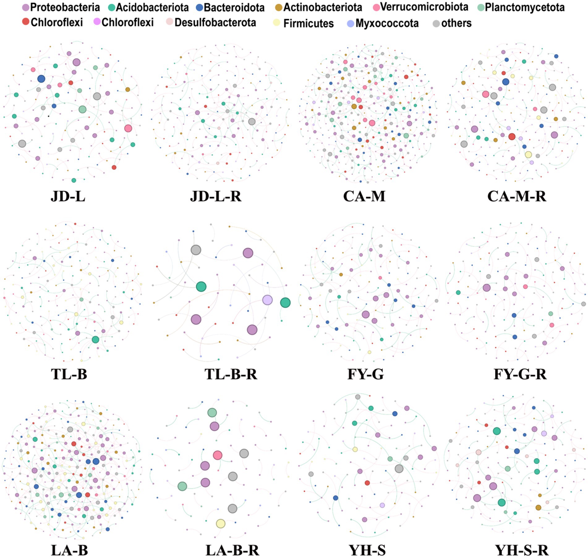 Network graphs depict microbial communities across different samples, labeled JD-L, JD-L-R, CA-M, CA-M-R, TL-B, TL-B-R, FY-G, FY-G-R, LA-B, LA-B-R, YH-S, YH-S-R. Nodes represent bacterial phyla like Proteobacteria, Acidobacteriota, Bacteroidota, and others, as indicated by color-coded legend. Lines indicate interactions between nodes.