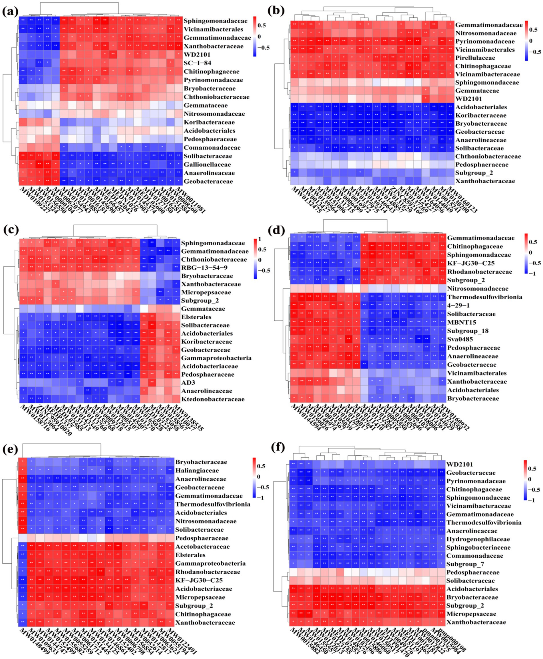 Heatmaps labeled a through f display clustering analyses of various bacterial families. Red indicates positive correlations, blue indicates negative correlations. Each map shows the intensity of relationships among different bacterial taxa. The axes represent different taxa or conditions, with values ranging from negative one to positive one, and hierarchical clustering is represented by dendrograms.