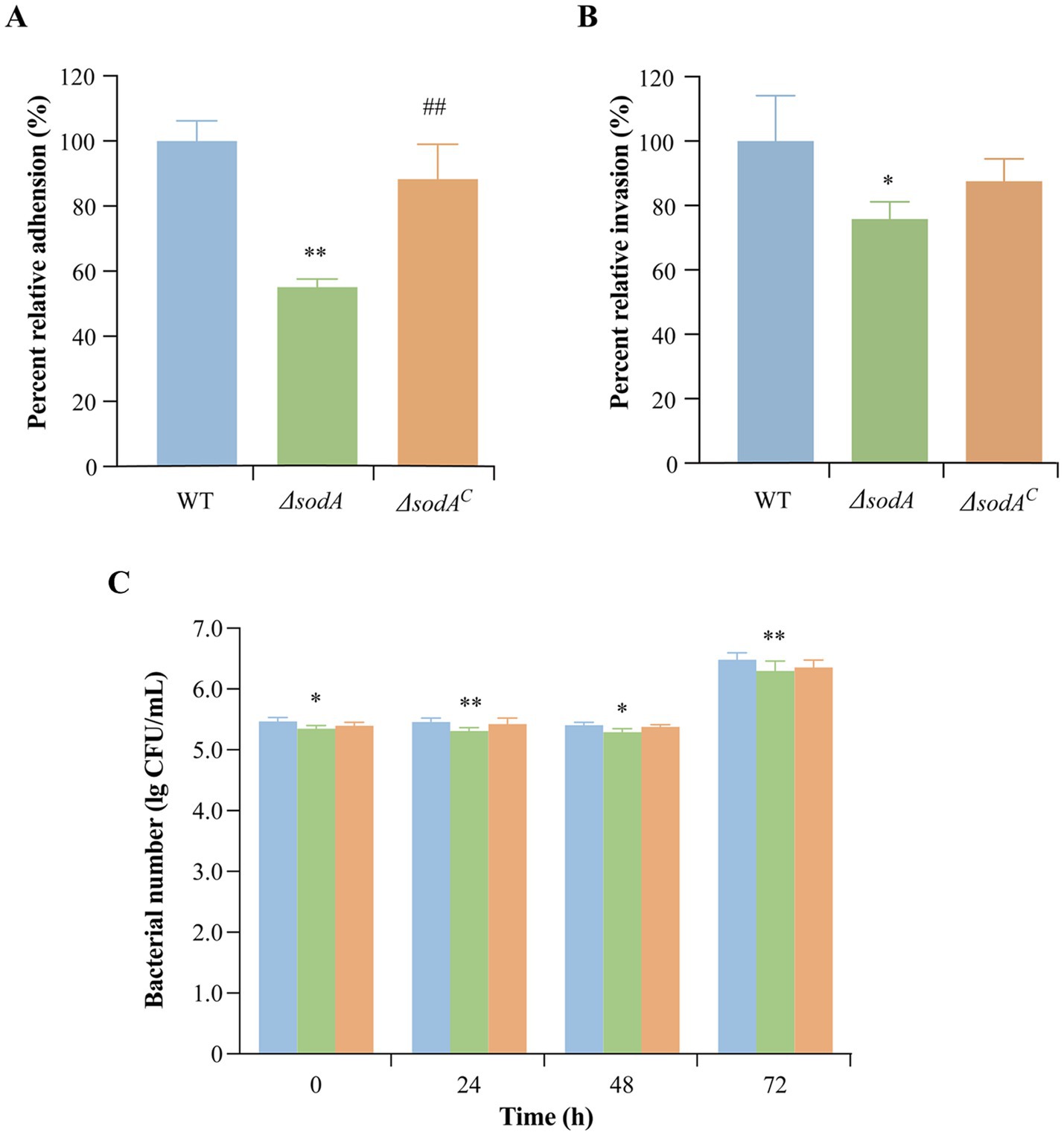 Three bar graphs depicting experimental results. Graph A shows percent relative adhesion with three bars: WT at about 100%, ΔsodA significantly lower, and ΔsodAᴄ between the two. Graph B presents percent relative invasion: WT around 100%, ΔsodA lower, and ΔsodAᴄ similar to ΔsodA. Graph C displays bacterial numbers over time (hours 0, 24, 48, 72) for WT, ΔsodA, and ΔsodAᴄ, with slight variations and statistical annotations indicated.