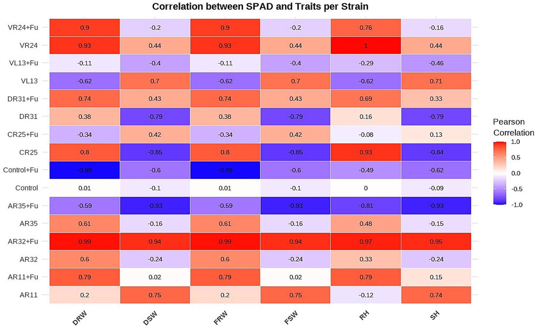 Heatmap displaying the correlation between SPAD and traits per strain. Rows represent different strains and treatments, and columns represent traits: DRW, DSW, FRW, FSW, RH, and SH. Colors range from red (strong positive correlation, 1.0) to blue (strong negative correlation, -1.0), with the Pearson correlation values indicated in each cell.