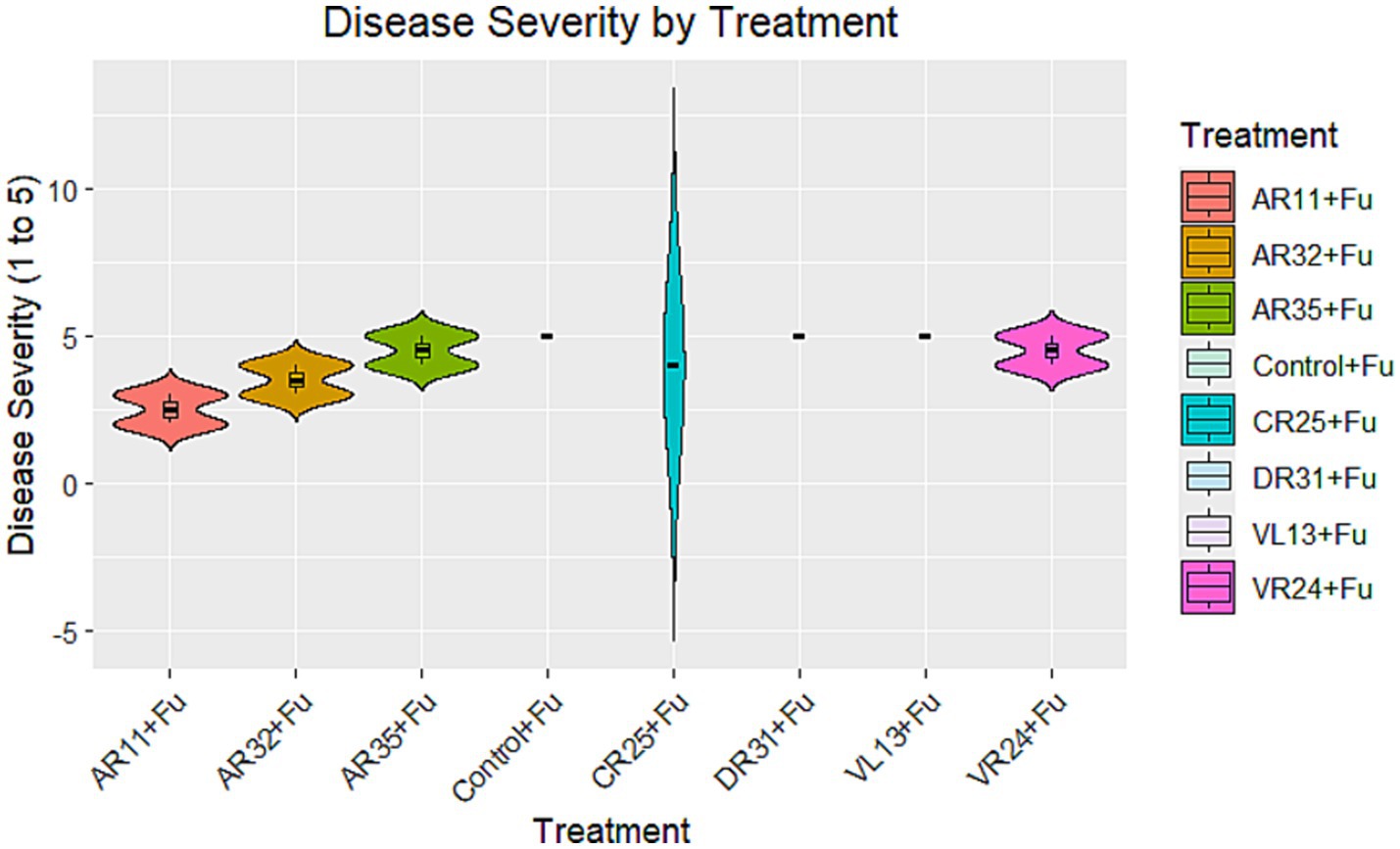 Violin plot illustrating disease severity by treatment, showcasing variations in severity scores from one to five across different treatments including AR11+Fu, AR32+Fu, AR35+Fu, Control+Fu, CR25+Fu, DR31+Fu, VL13+Fu, and VR24+Fu. Color-coded legend aids in distinguishing treatments.