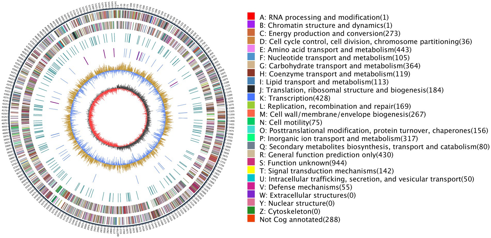 Circular genome map with colored tracks representing various gene functions. Each color corresponds to a category like RNA processing (red), energy production (brown), and carbohydrate metabolism (light green), among others. A legend on the right lists categories A to Z with corresponding colors and counts, detailing various biological functions and processes.