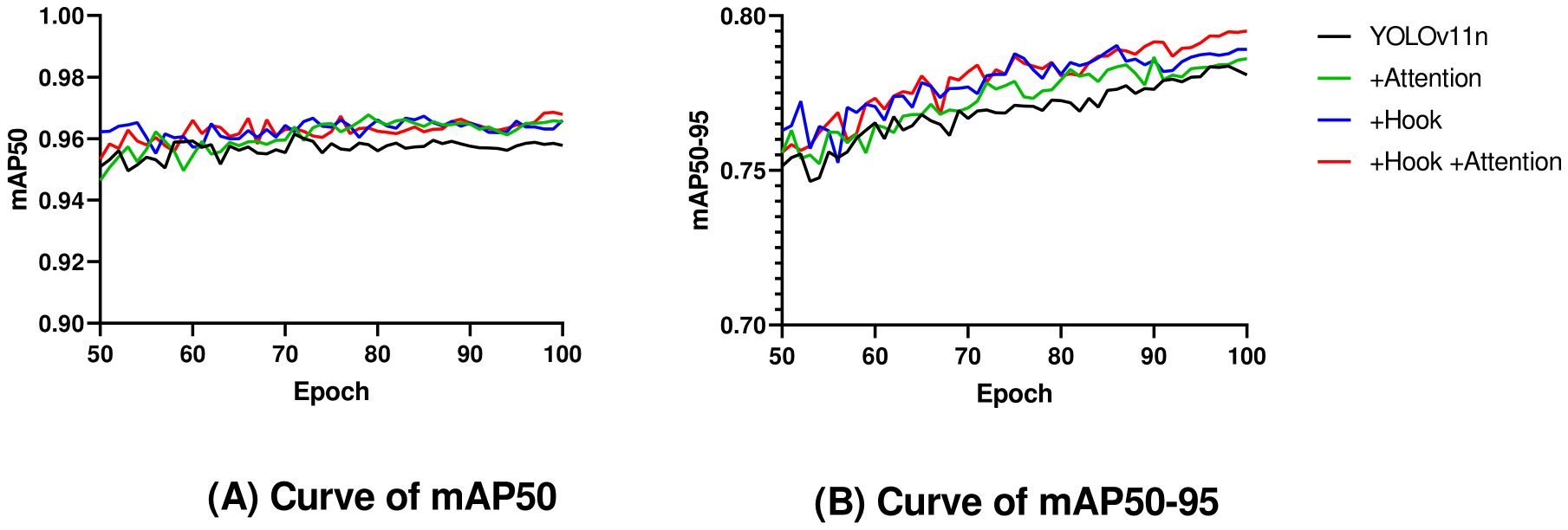 Two line charts compare epochs against mAP performancemetrics for different models. Chart A shows mAP50 ranging from 0.90 to 1.00, while Chart B shows mAP50-95 ranging from 0.70 to 0.80. Lines represent models: YOLOv11n (black), +Attention (green), +Hook (blue), and +Hook +Attention (red). All models show performance improvements over the epochs, and +HooK +Attention gets the best results.