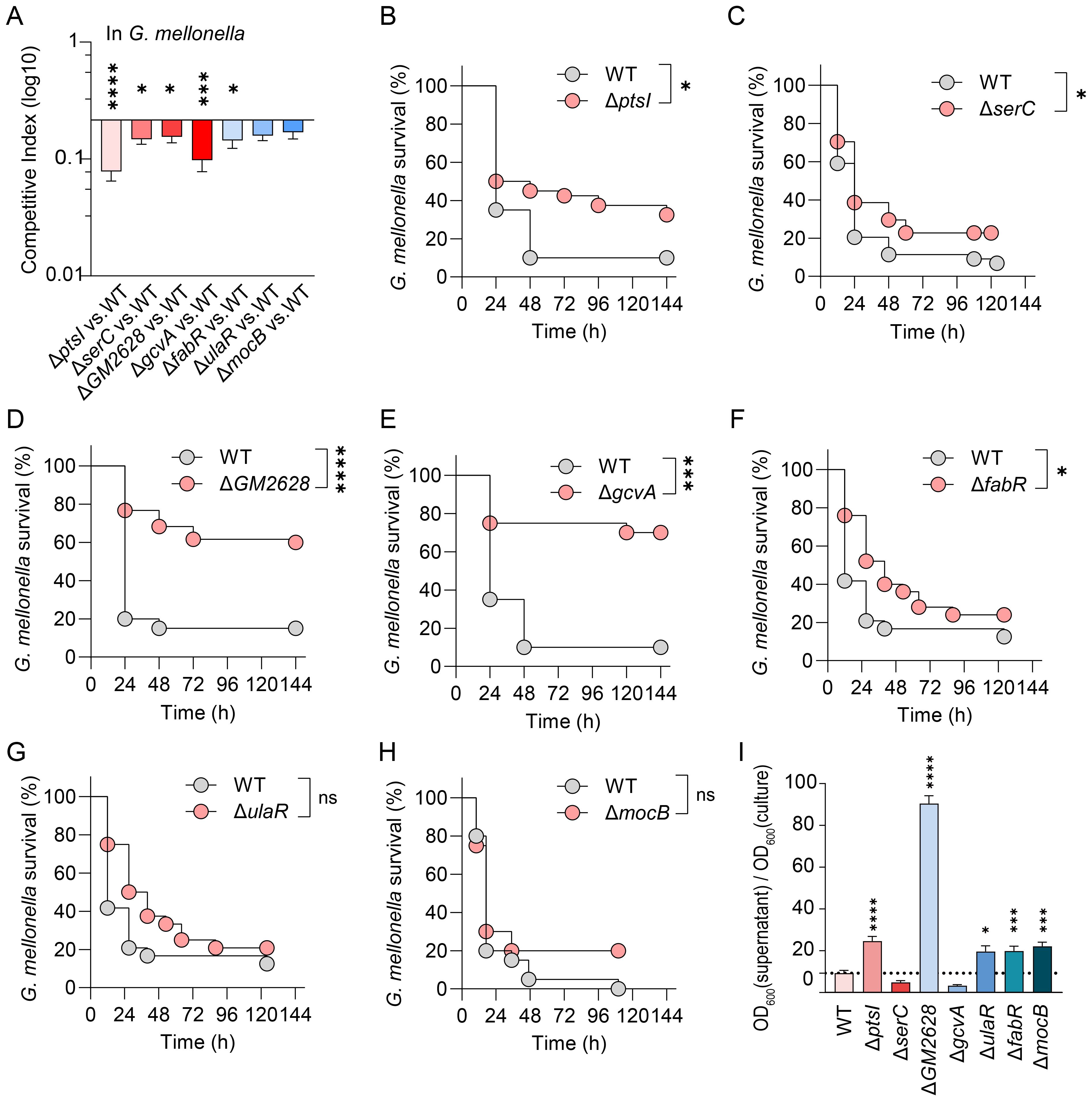 Bar and line charts depicting the competitive index and survival rates of different bacterial mutants in *G. mellonella*. Panel A shows competitive index bars for various mutants against wild type, indicating significant differences. Panels B to H present survival curves for wild type versus mutants over time, with significant differences marked in B to F and non-significant in G and H. Panel I displays a bar chart comparing optical density ratios in the supernatant and culture for each mutant, highlighting significant differences.