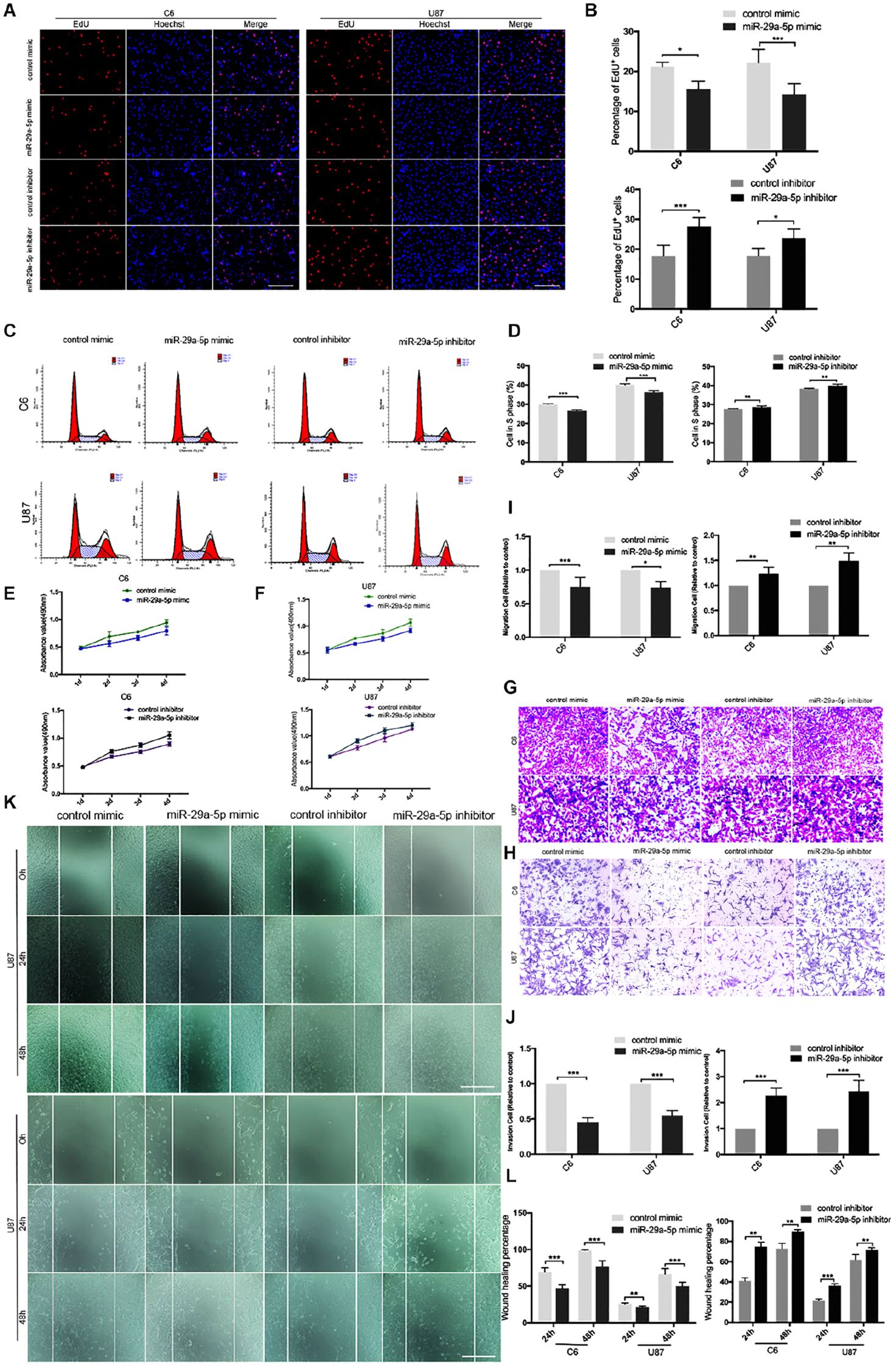 Composite image depicting various scientific data related to cell experiments. Panels A, C, G, H, and K show fluorescent microscopy images and charts of cell samples under different conditions, such as control and miR-29a-5p mimic or inhibitor treatment on C6 and U87 cells. Panels B, D, E, F, I, J, and L present bar and line graphs illustrating the percentage of EdU cells, cell cycle phase distribution, cell viability, migration ratios, and wound healing percentages with statistical significance noted by asterisks. The image compares the effects of miR-29a-5p mimic and inhibitor on cellular functions.