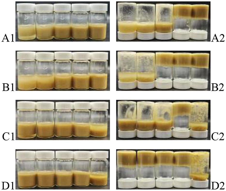 Eight images labeled A1, A2, B1, B2, C1, C2, D1, and D2 show groups of vials with yellowish contents. Each group appears to represent different stages or conditions with variations in opacity and amounts of the substance. The vials are aligned in a row in each image.
