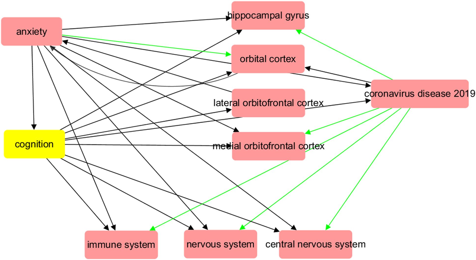 Diagram showing connections between anxiety, cognition, coronavirus disease 2019, and brain areas such as the hippocampal gyrus, orbital cortex, lateral and medial orbitofrontal cortices. It also links to the immune, nervous, and central nervous systems. Arrows indicate complex interactions and influences.
