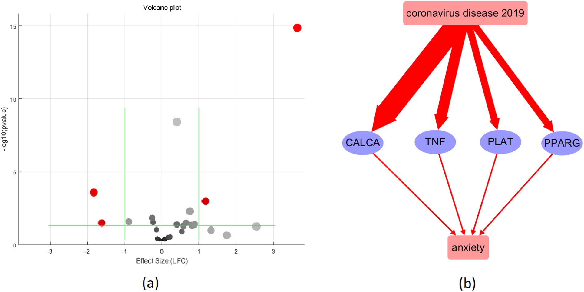 Panel (a) shows a volcano plot with effect size on the x-axis and negative log p-value on the y-axis. Dots are colored gray and red, indicating significance. Panel (b) presents a diagram showing “coronavirus disease 2019” leading to “anxiety” through pathways involving CALCA, TNF, PLAT, and PPARG, connected by red arrows.