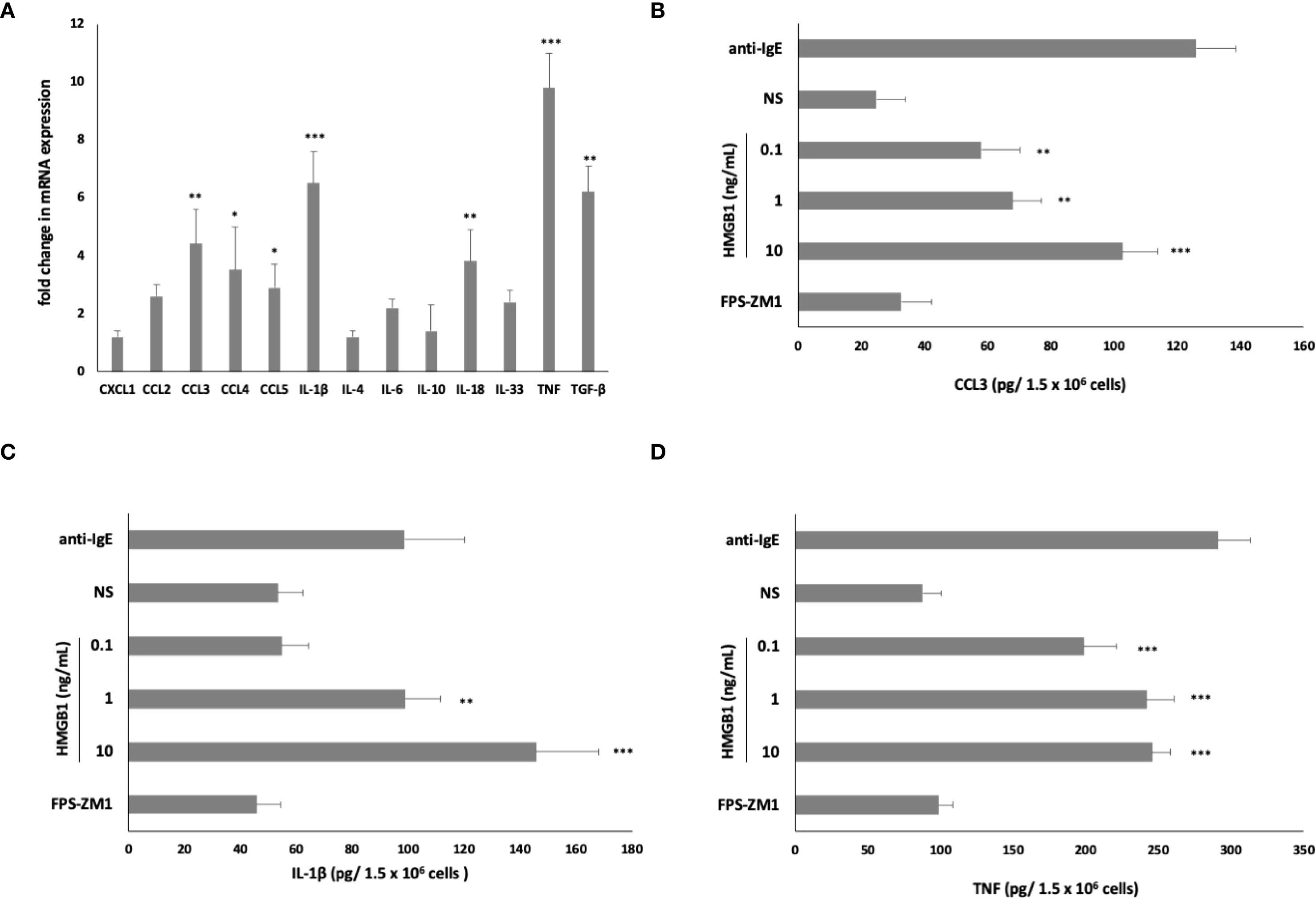 Four bar graphs labeled A, B, C, and D showing data on mRNA expression and cytokine production. Graph A displays fold changes in mRNA expression for various cytokines with significant differences marked. Graphs B, C, and D show levels of CCL3, IL-1β, and TNF, respectively, across different conditions, including anti-IgE, NS, varying concentrations of HMGB1, and FPS-ZM1, with significant differences indicated. Error bars represent standard deviation.