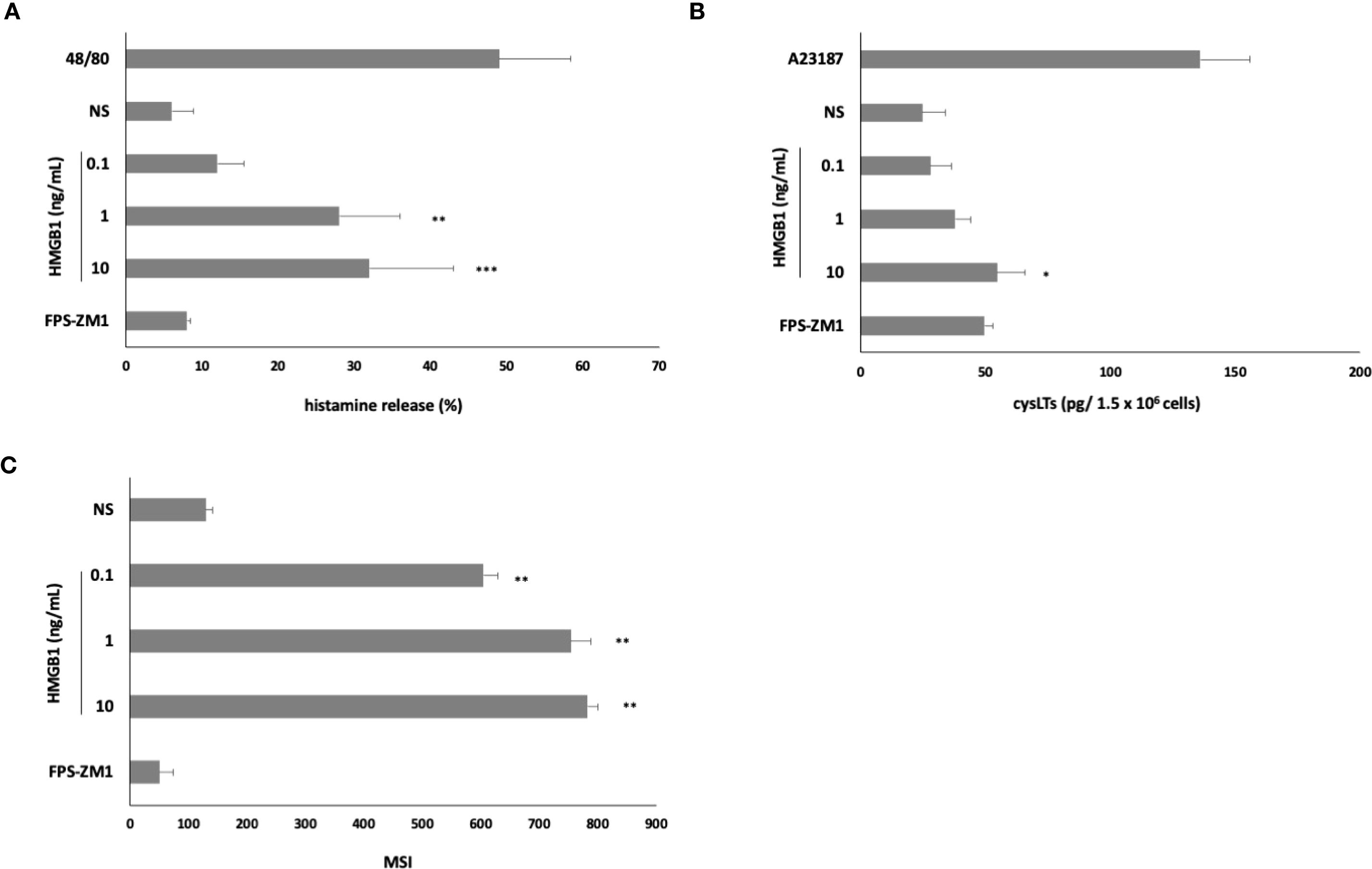 Bar graphs showing the effects of HMGB1 and FPS-ZM1 on histamine release, cysLTs production, and MSI. (A) Histamine release in response to HMGB1 concentrations (0.1, 1, 10 ng/mL) is compared with 48/80 and FPS-ZM1 controls. Significant increases are noted at 1 and 10 ng/mL. (B) CysLTs production following A23187 and HMGB1 treatments shows a notable increase at 10 ng/mL. (C) MSI response to HMGB1 concentrations showing significant increases at 0.1, 1, and 10 ng/mL compared with FPS-ZM1 and NS controls. Error bars represent standard deviations.