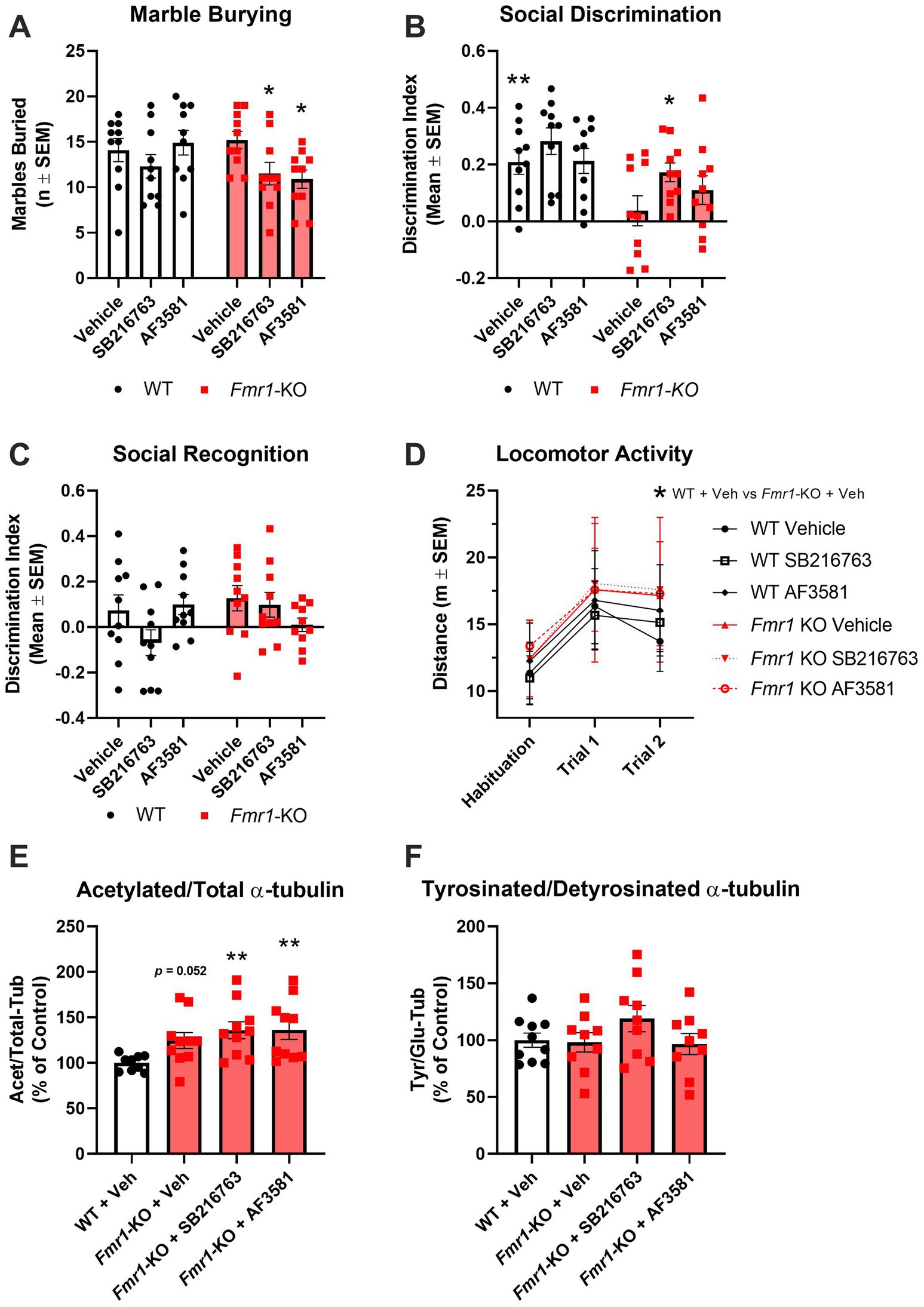 Graphs display experimental results comparing WT and Fmr1-KO groups under different conditions. Panels A-C show bar graphs for marble burying and discrimination indexes with statistical significance marked. Panel D shows a line graph of locomotor activity across three trials. Panels E-F present bar graphs of acetylated/total and tyrosinated/detyrosinated alpha-tubulin levels, with significant differences indicated.