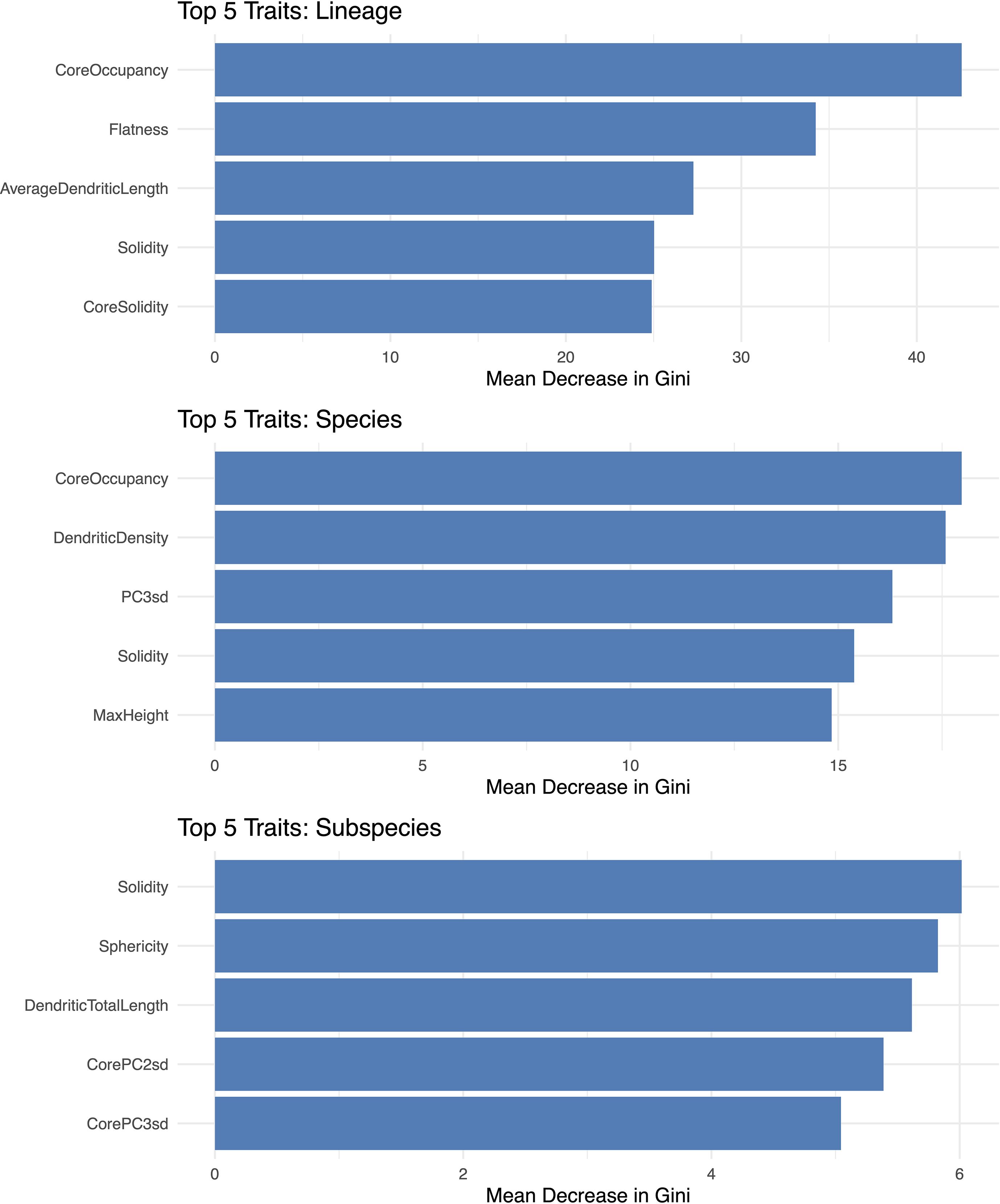 Three horizontal bar charts showing the top five traits for lineage, species, and subspecies based on the mean decrease in Gini. Traits for lineage include CoreOccupancy and Flatness; species traits include CoreOccupancy and DendriticDensity; subspecies traits include Solidity and Sphericity. Each chart displays values on a scale of mean decrease in Gini, with lineage traits reaching up to 40, species up to 15, and subspecies up to 6.